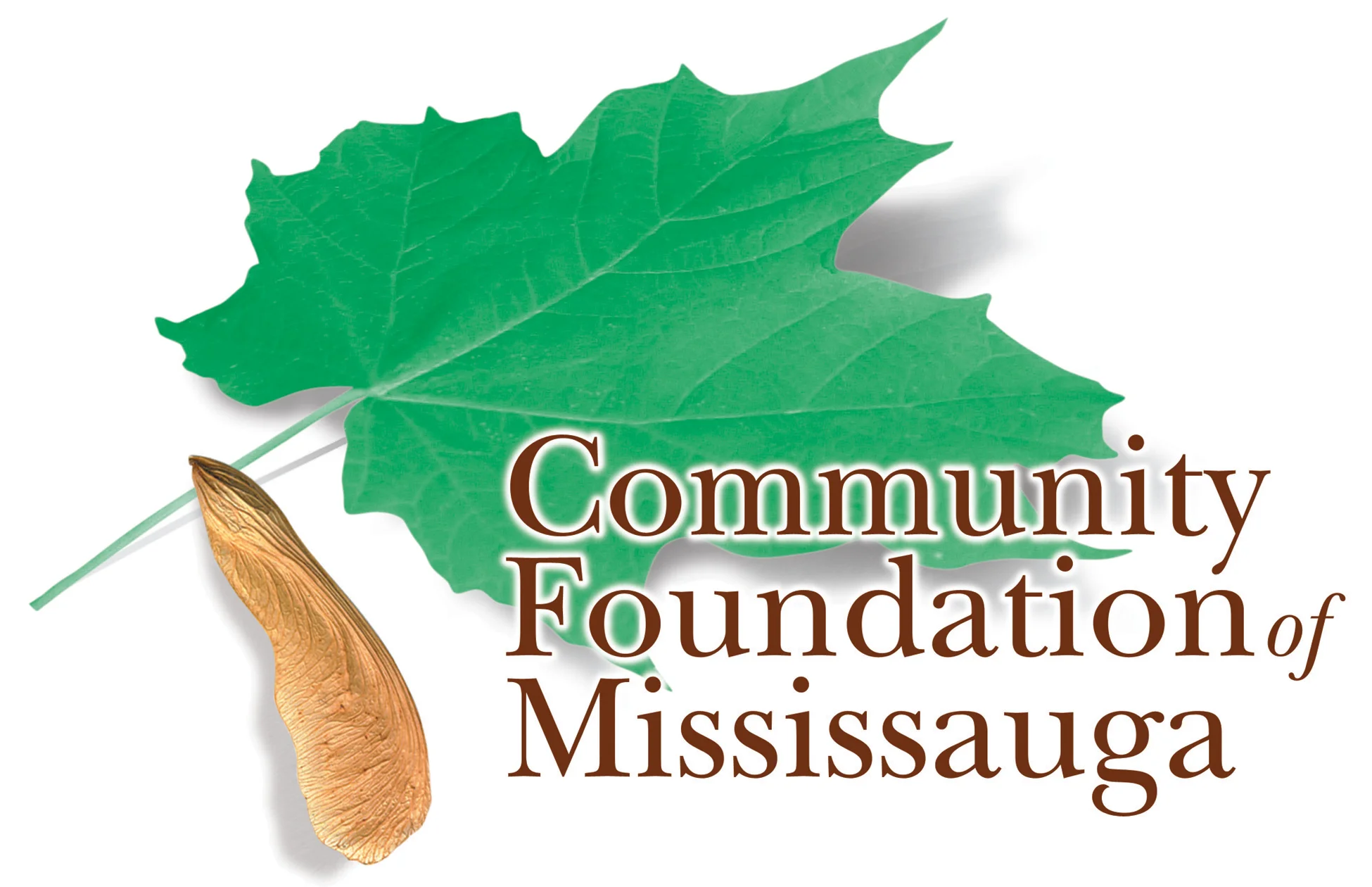  AstraZeneca Canada Adolescent Health Fund at the Community Foundation of Mississauga 