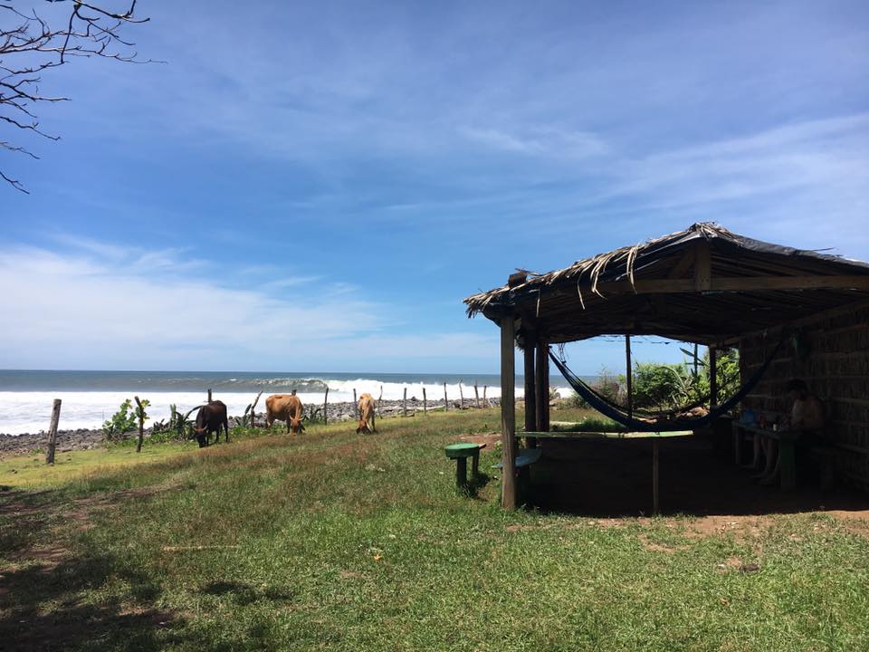 Punta Mango - 8ft sets, a light cross shore wind, low tide and HEAVY! (Too heavy as we were soon to find out)