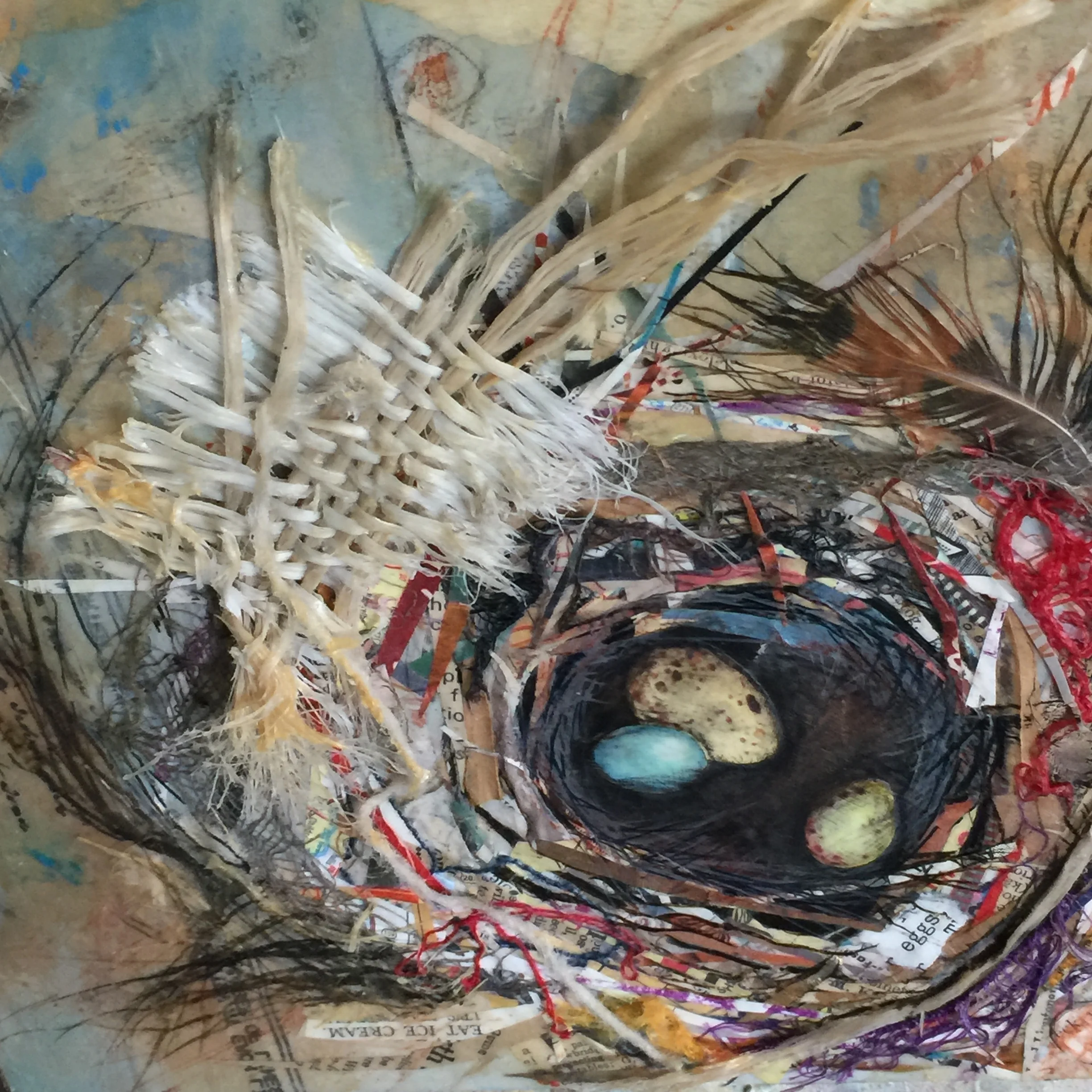 nest close up.jpg