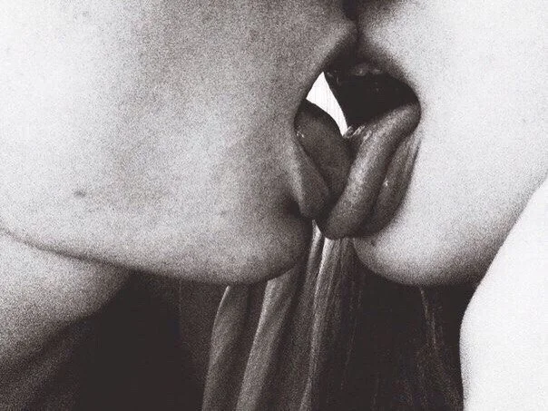 tumblr_o1ra8sPPrU1r6iqiyo1_1280.jpg