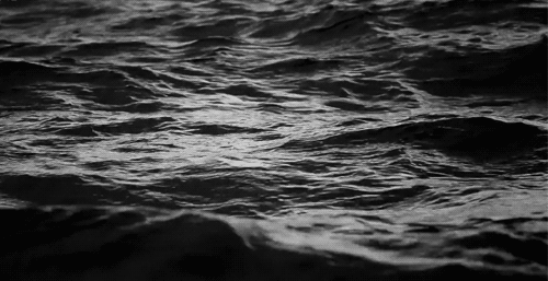 tumblr_nc9dvuq2Cz1tif01lo1_500.gif