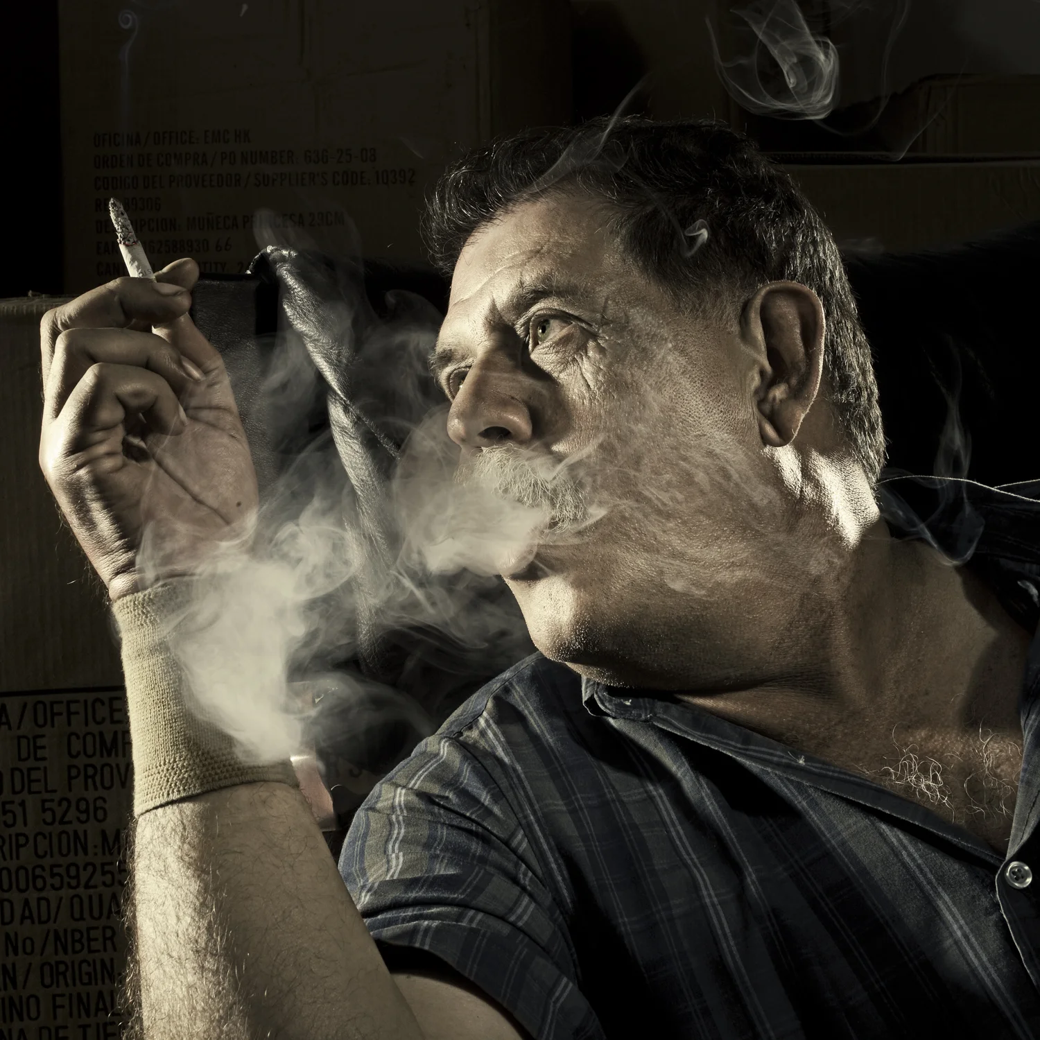 Honorable Mention in Fine Arts, IPA Awards/USA 2012