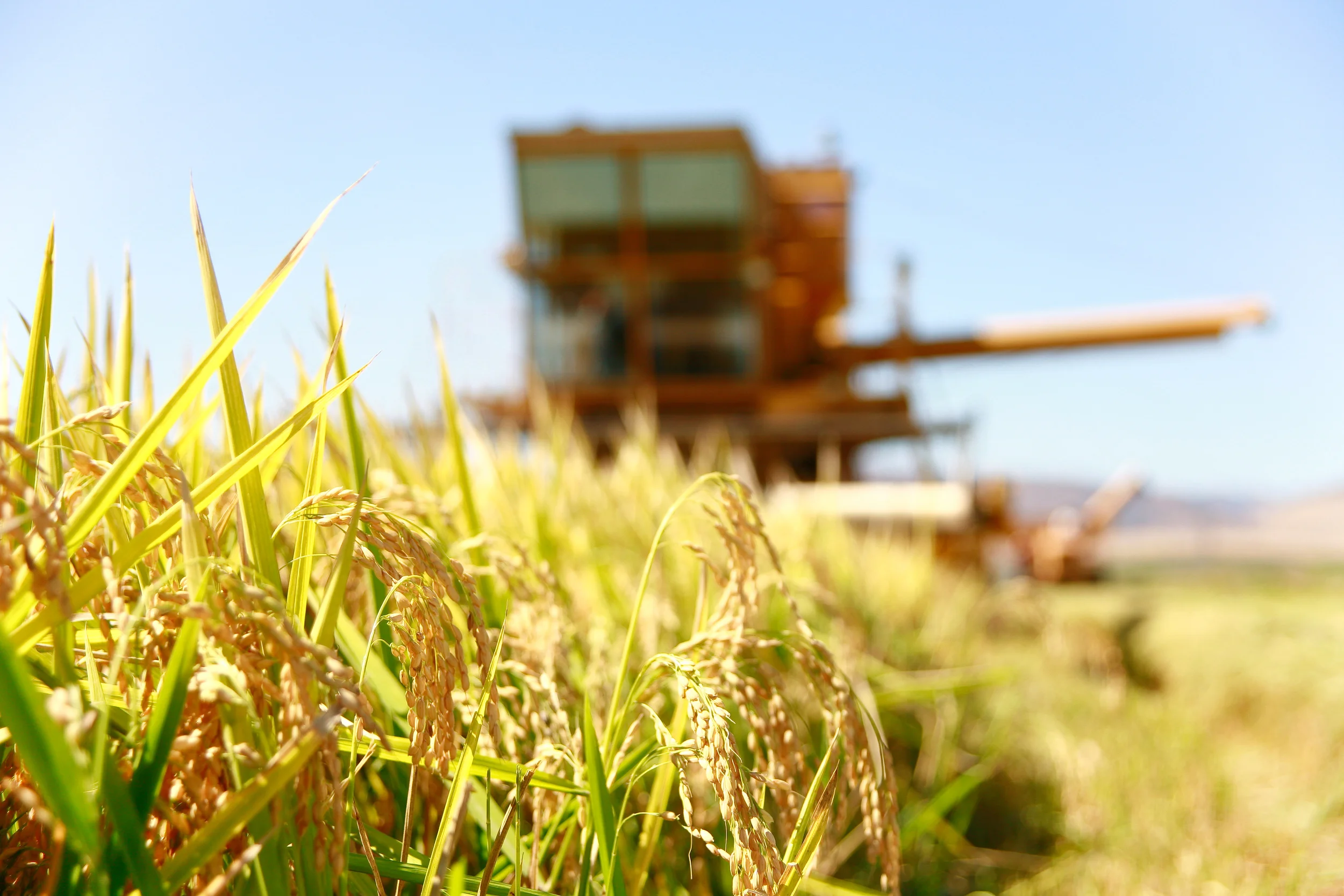 Where it all started