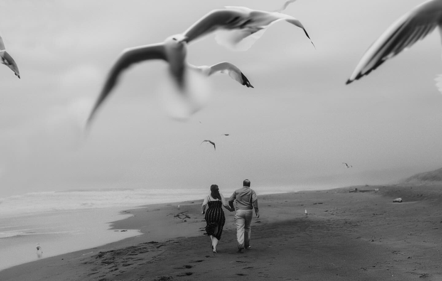 Anyone getting the movie &ldquo;The Birds&rdquo; vibes? I mean, no one was attacked during this session, but still 😂
&hellip;
..
&hellip;
.
..
#bridesmaids #engaged #californiaweddingphotographer #subject_light #beachengagement #sonomacountyweddingp