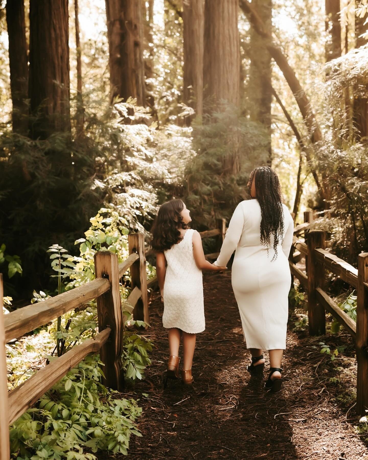 It rained all day and then the sun came out for their session 🙌🏻. It&rsquo;s a little rare to get glowy light in the redwoods but we did and it&rsquo;s so fun editing different types of light, clothing colors and scenery. Demi - your family was the