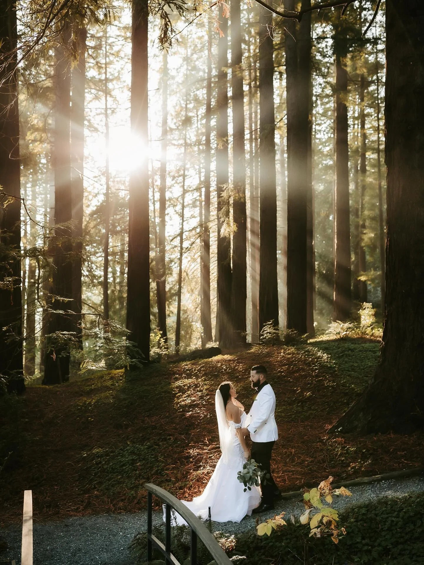 I basically just have to post this one on it&rsquo;s own 🙃😍
..
&hellip;
.
&hellip;
..
.
#alamedawedding #caratsandcake #californiaweddingphotographer #subject_light #marthaweddings sonomacountyweddingphotographer weddinginspo californiaweddings bot
