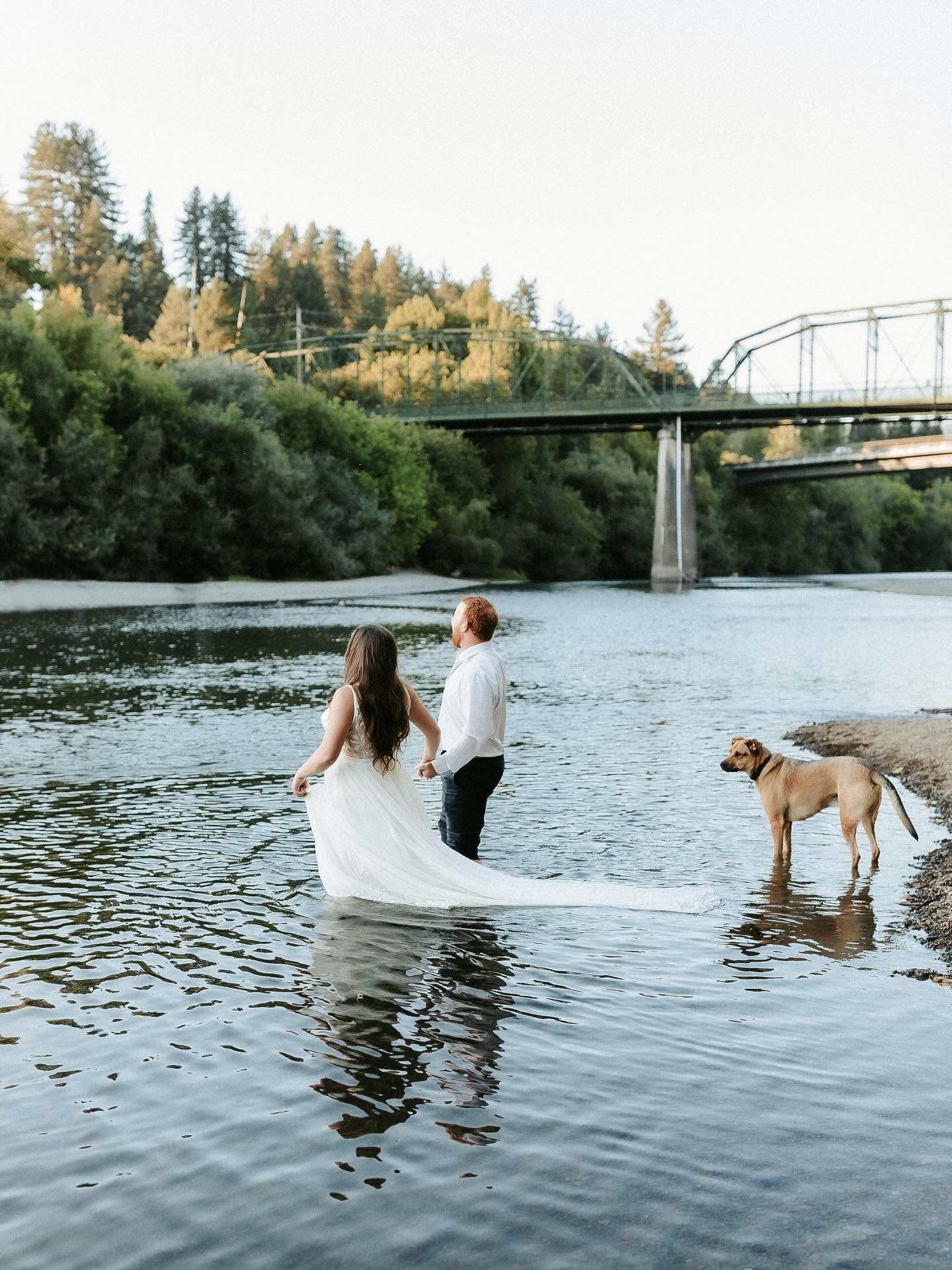 Maddy, Danny, their pup and the Russian river ❤️. I&rsquo;ve never taken sunset photos like this and I&rsquo;m 100% here for it! It&rsquo;s your day, let&rsquo;s be true to you and do what feels right, even if that means walking straight into a river