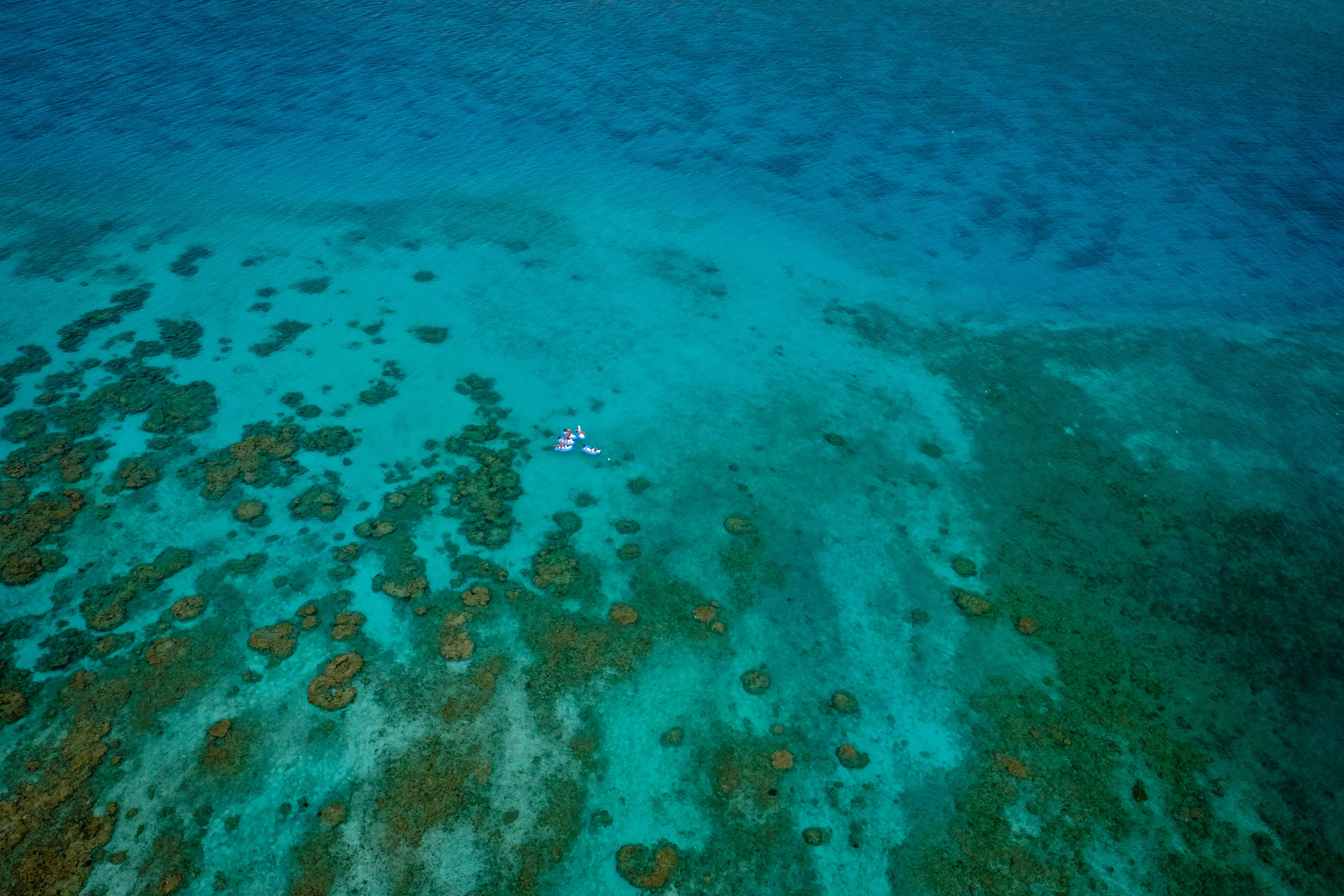 Thomson Cruises - TUI
