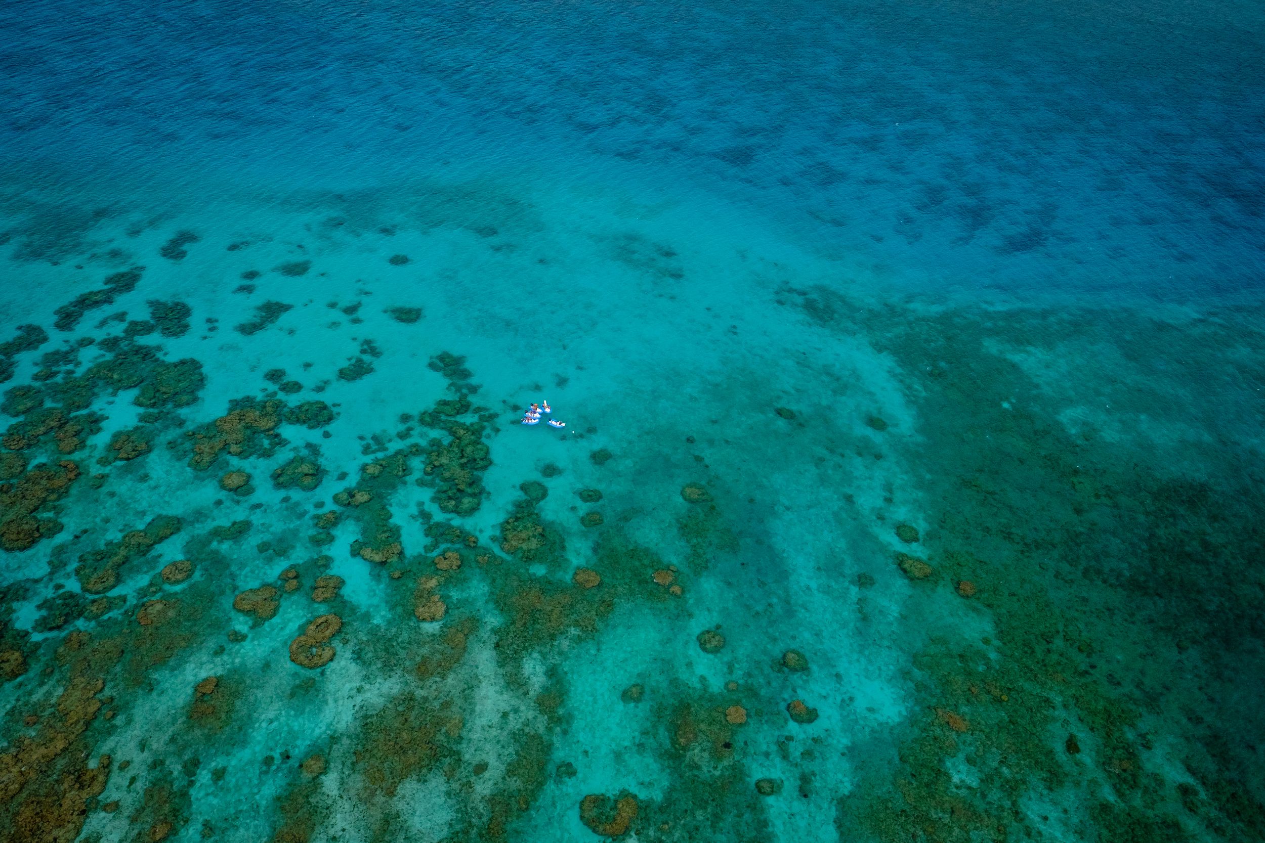 Kayaks in the Ocean