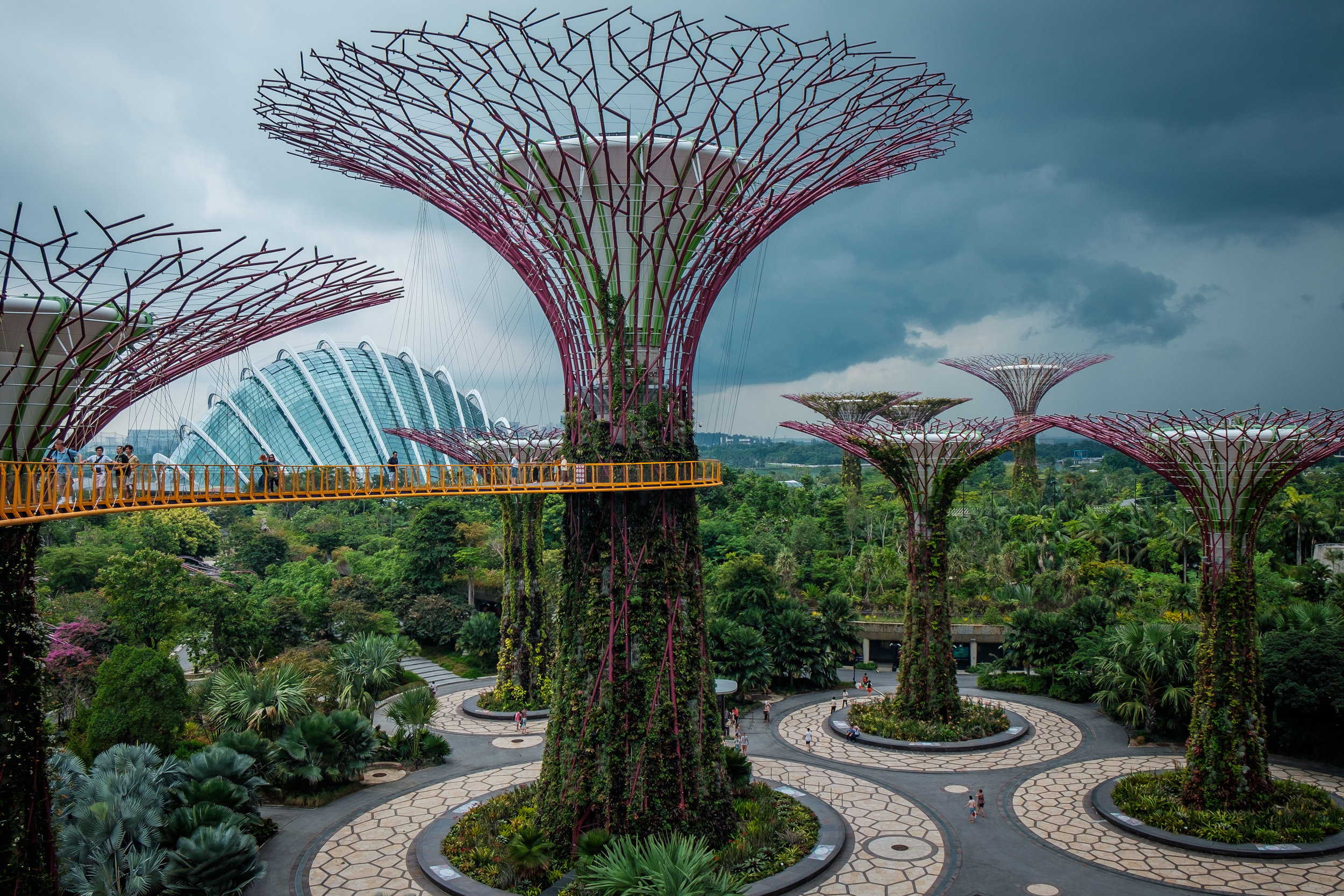 Super tree Grove at Gardens by the Bay