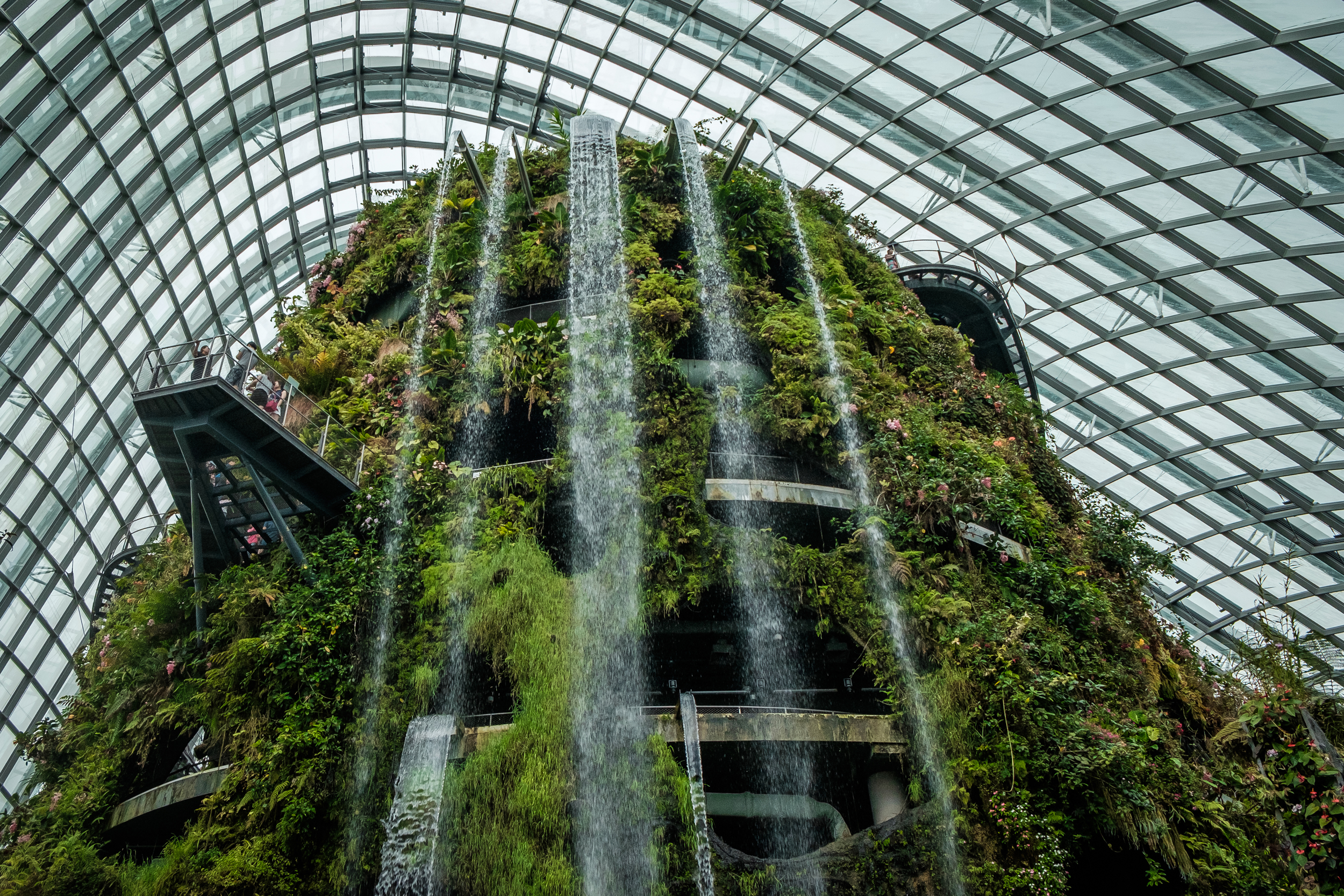 The Cloud Forrest - Gardens by the Bay