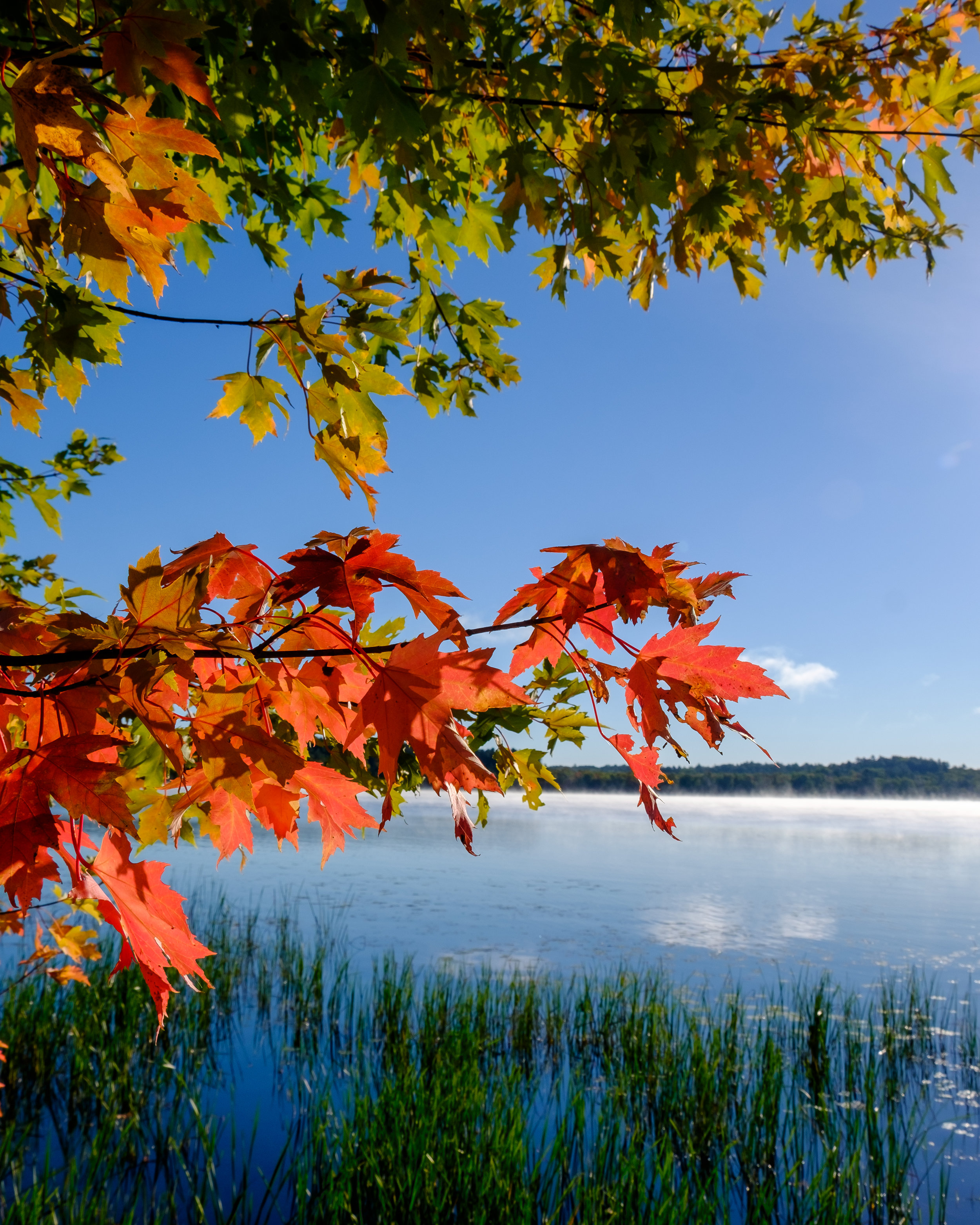 Golden Lake