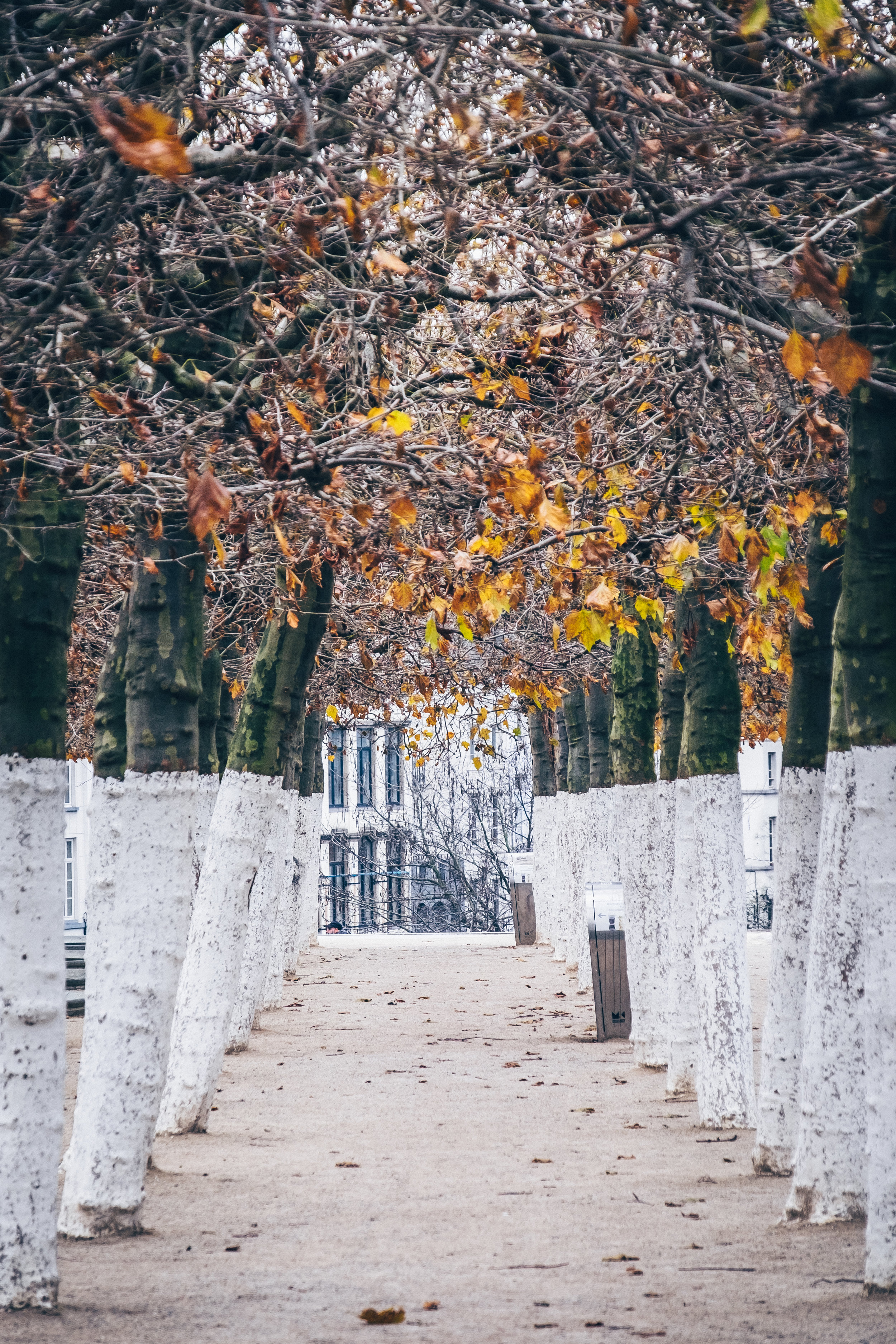 Mont des arts, Brussels