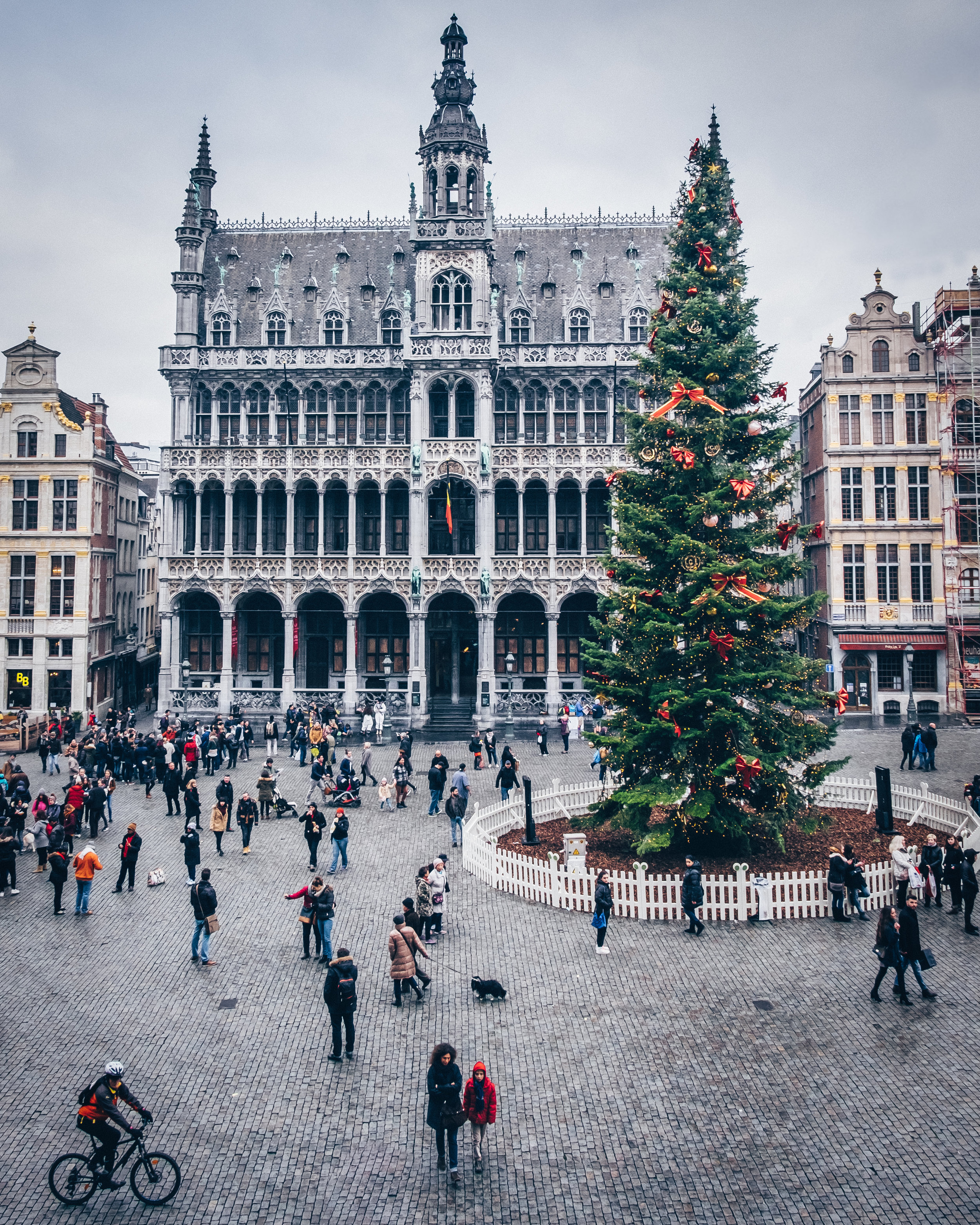 Christmas tree at Grand Place, Brussels