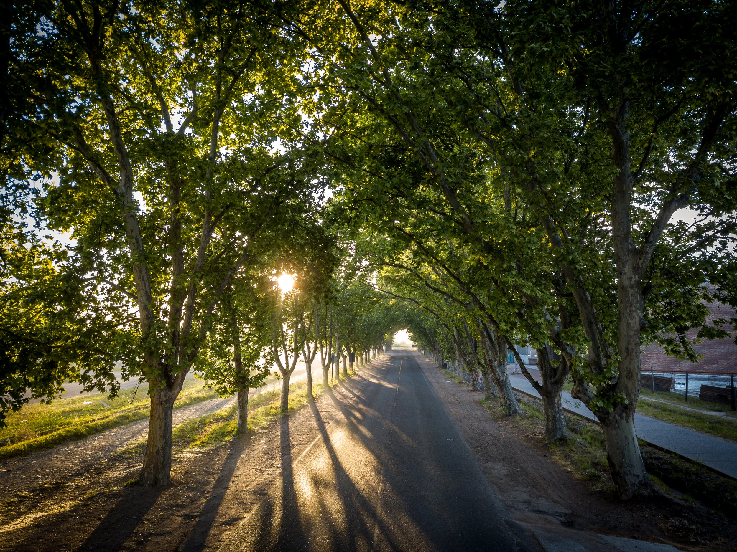 Chasing Sunrise