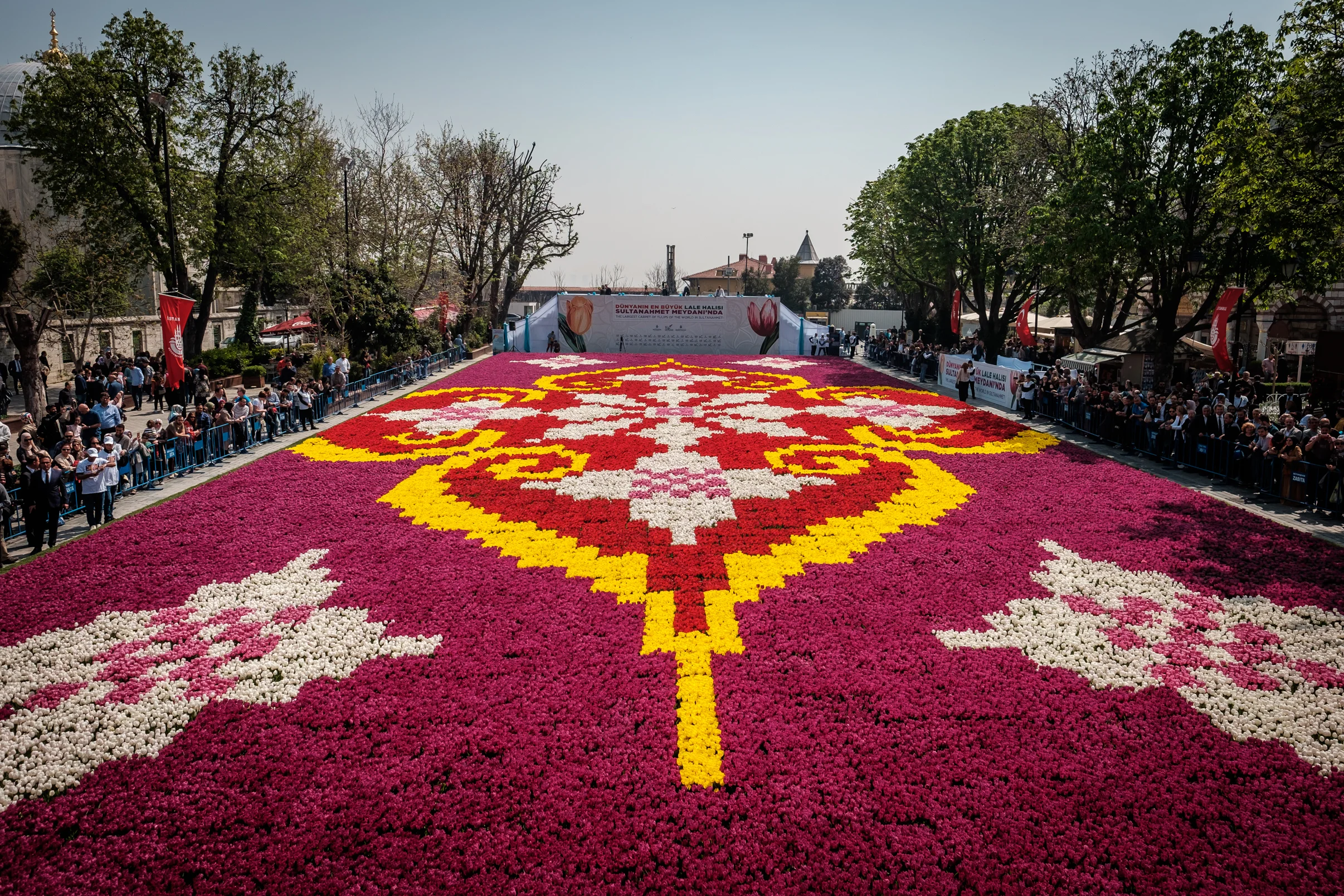 Sultanahmet Square, Tulip Festival