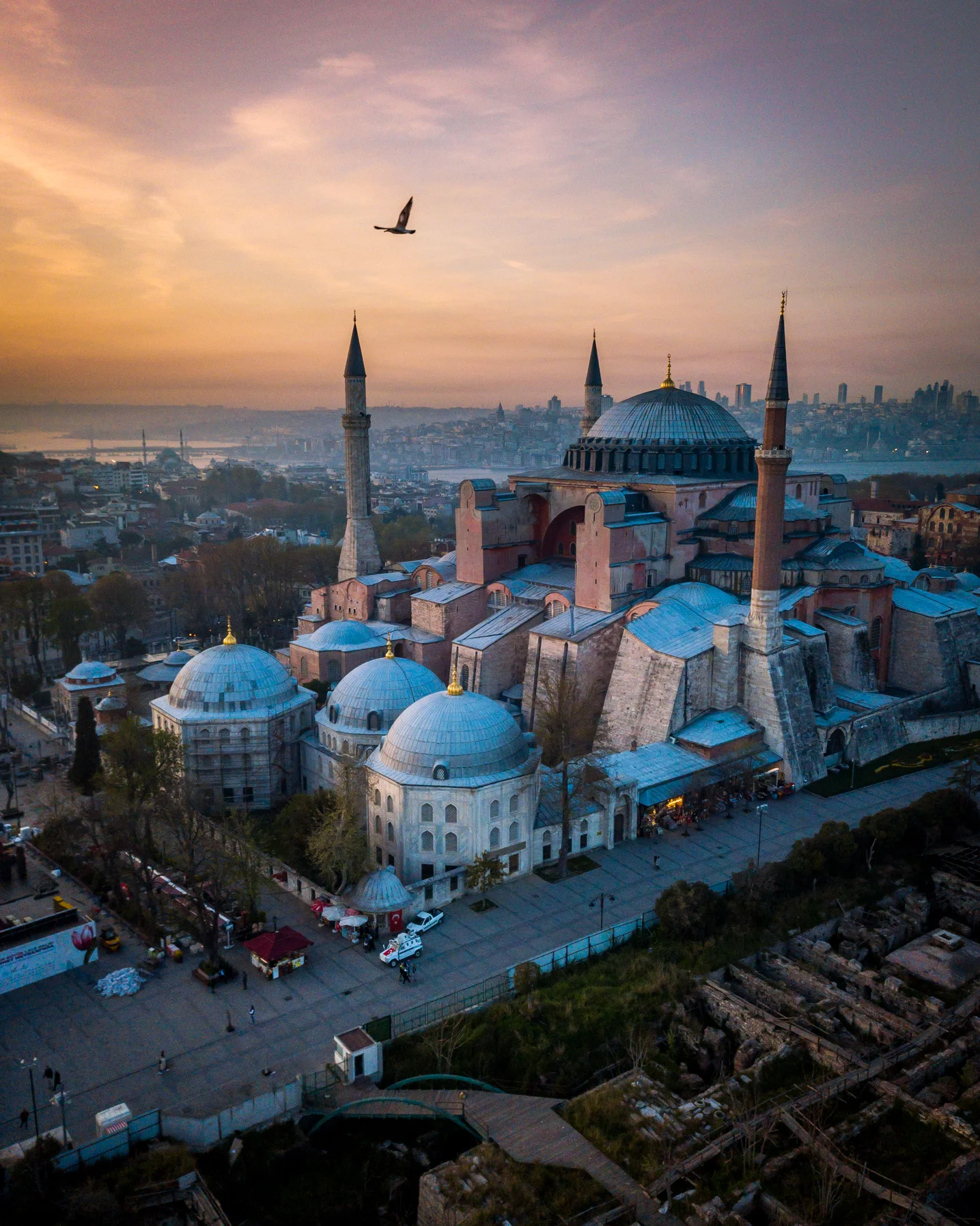 Tulip carpet and Hagia Sofia Mosque