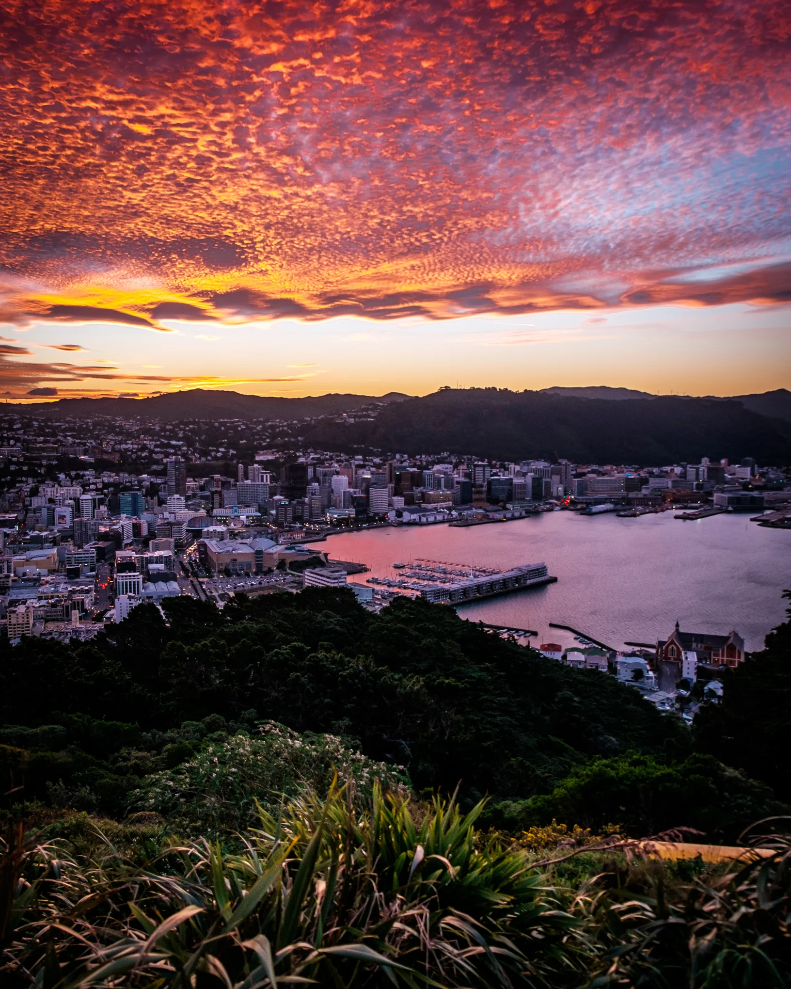 Sunset from Mt Victoria Lookout
