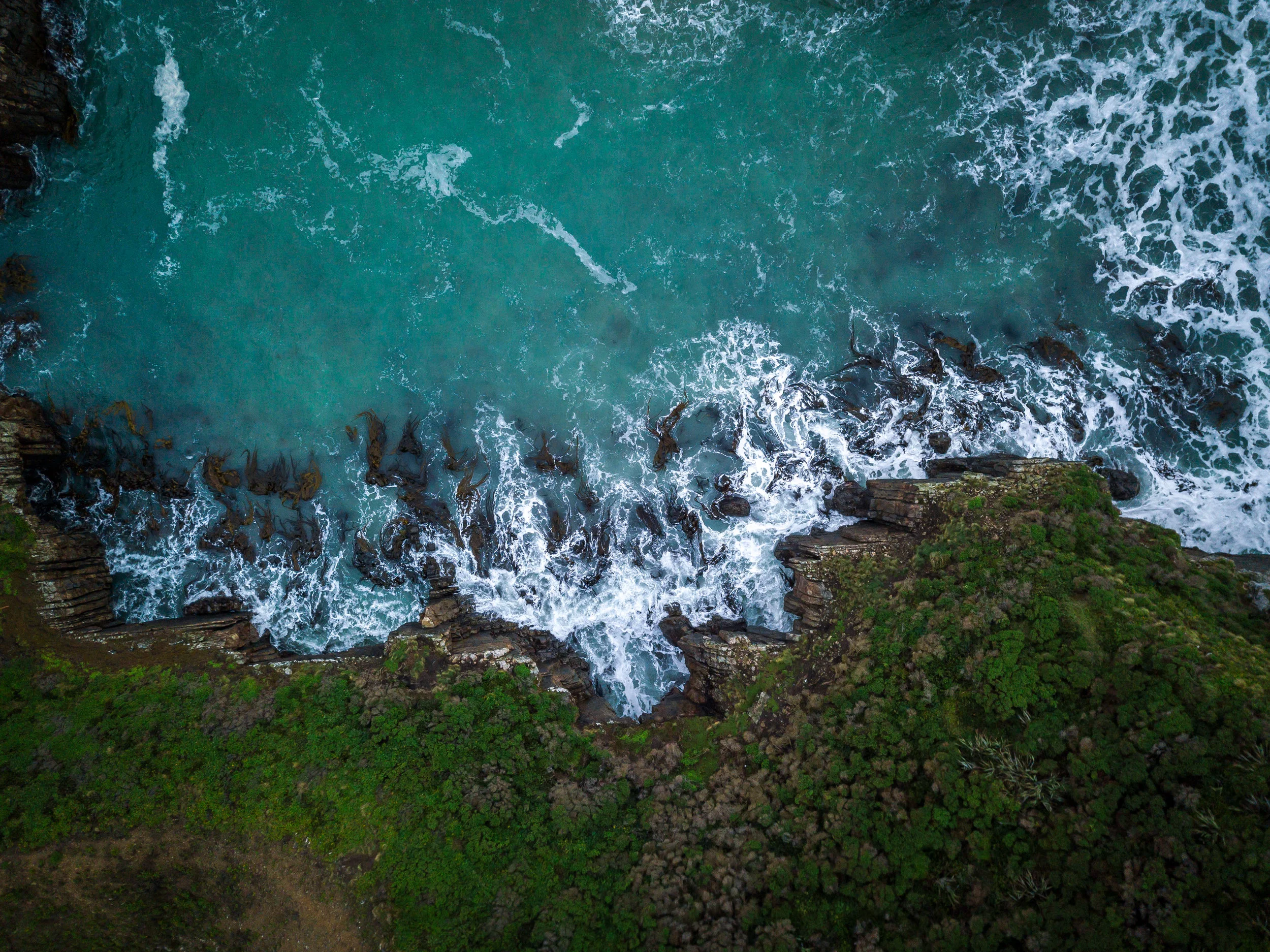 Shores