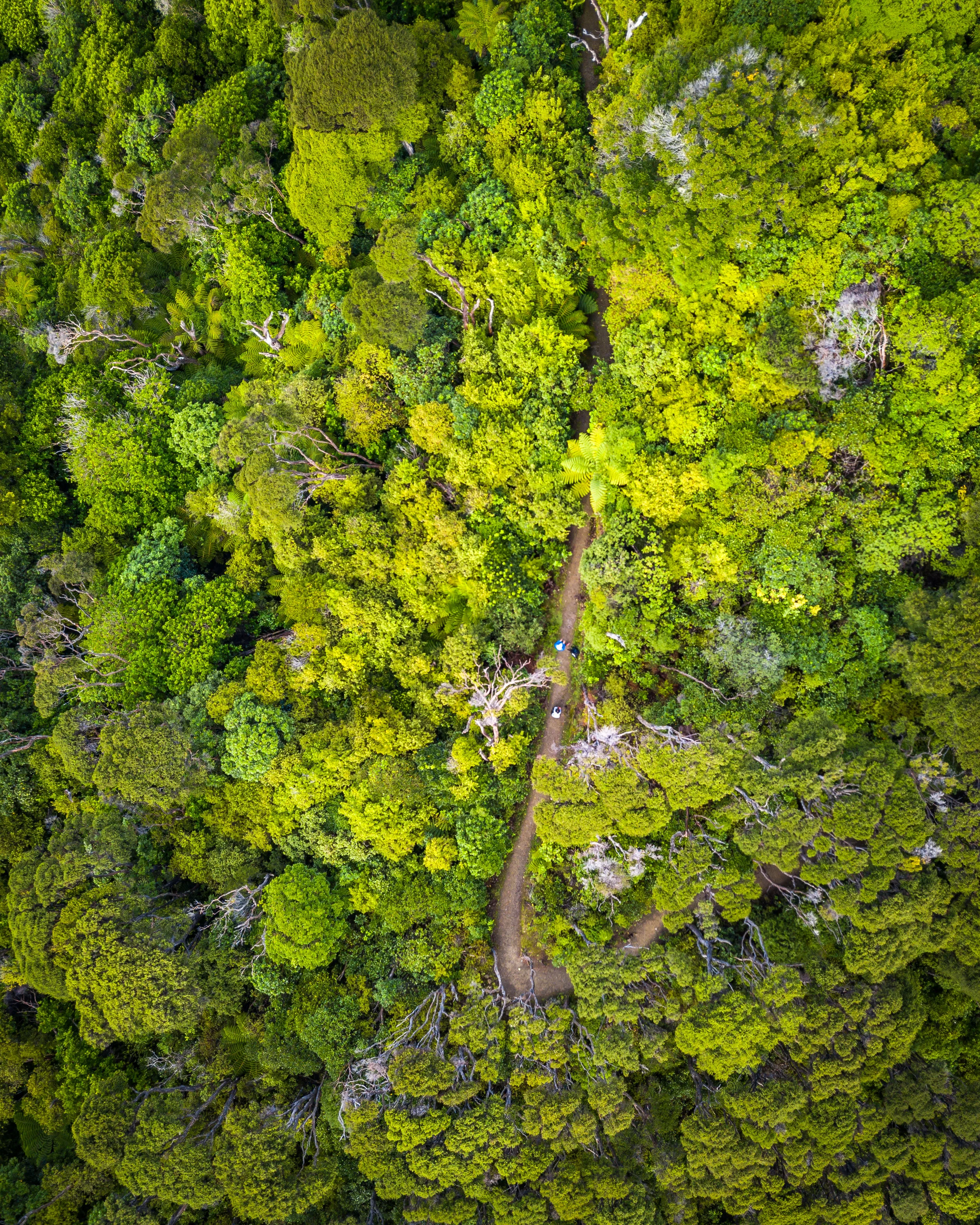 DJI_0359.jpg