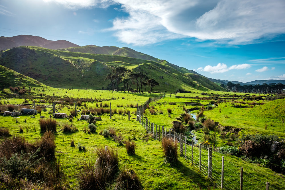 Terawhiti Farm