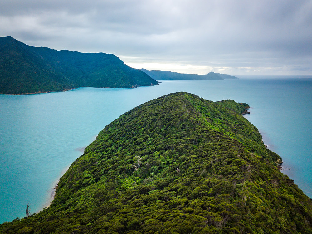 Motuara Island