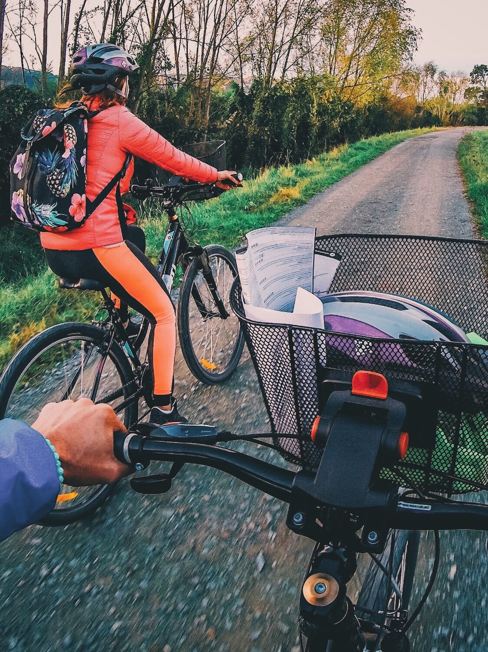 Cycling through Vineyards