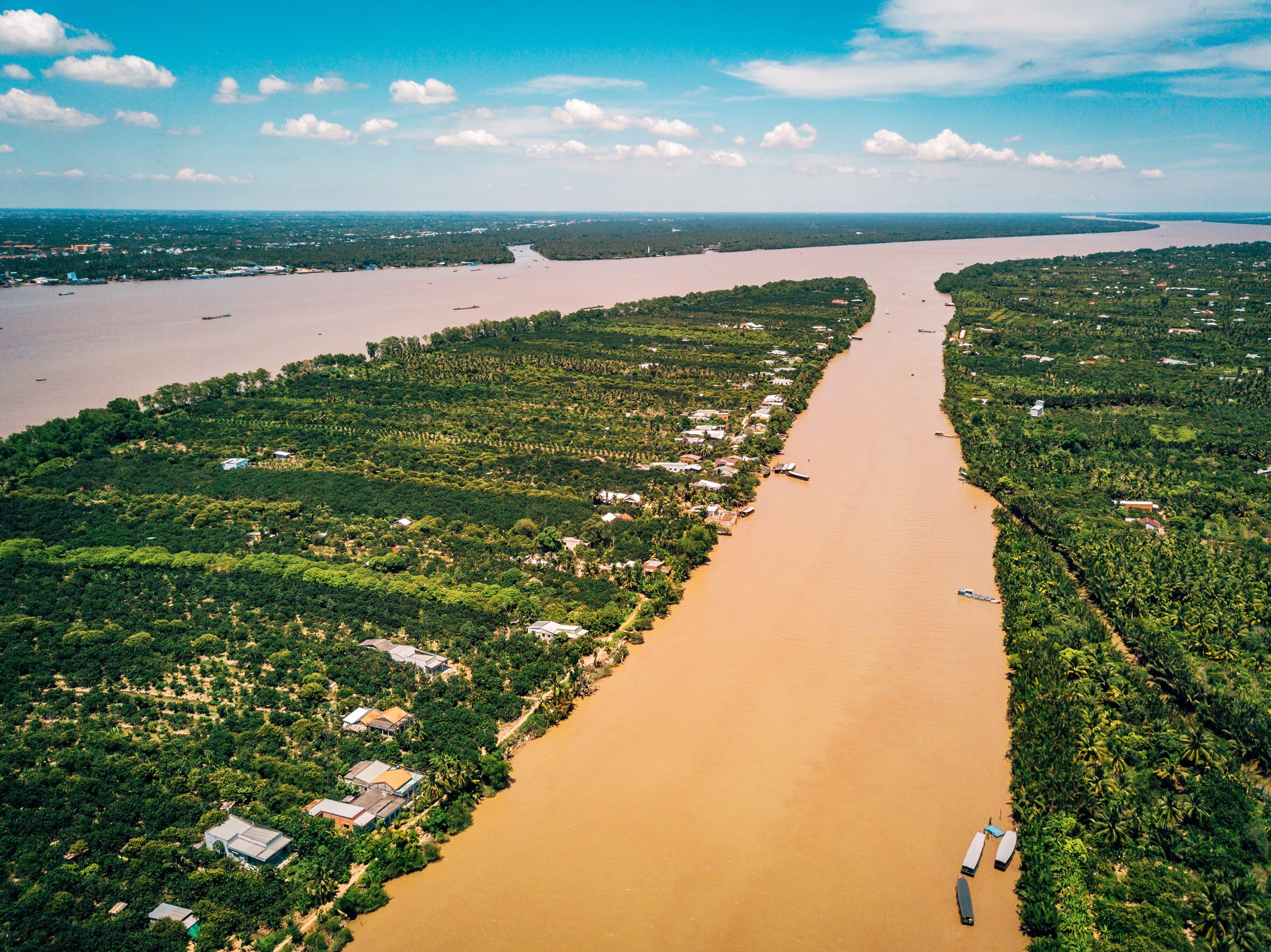 Mekong Delta