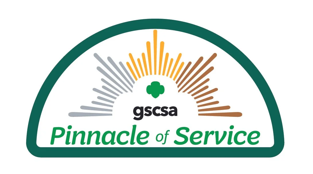 Pinnacle of Service Patch