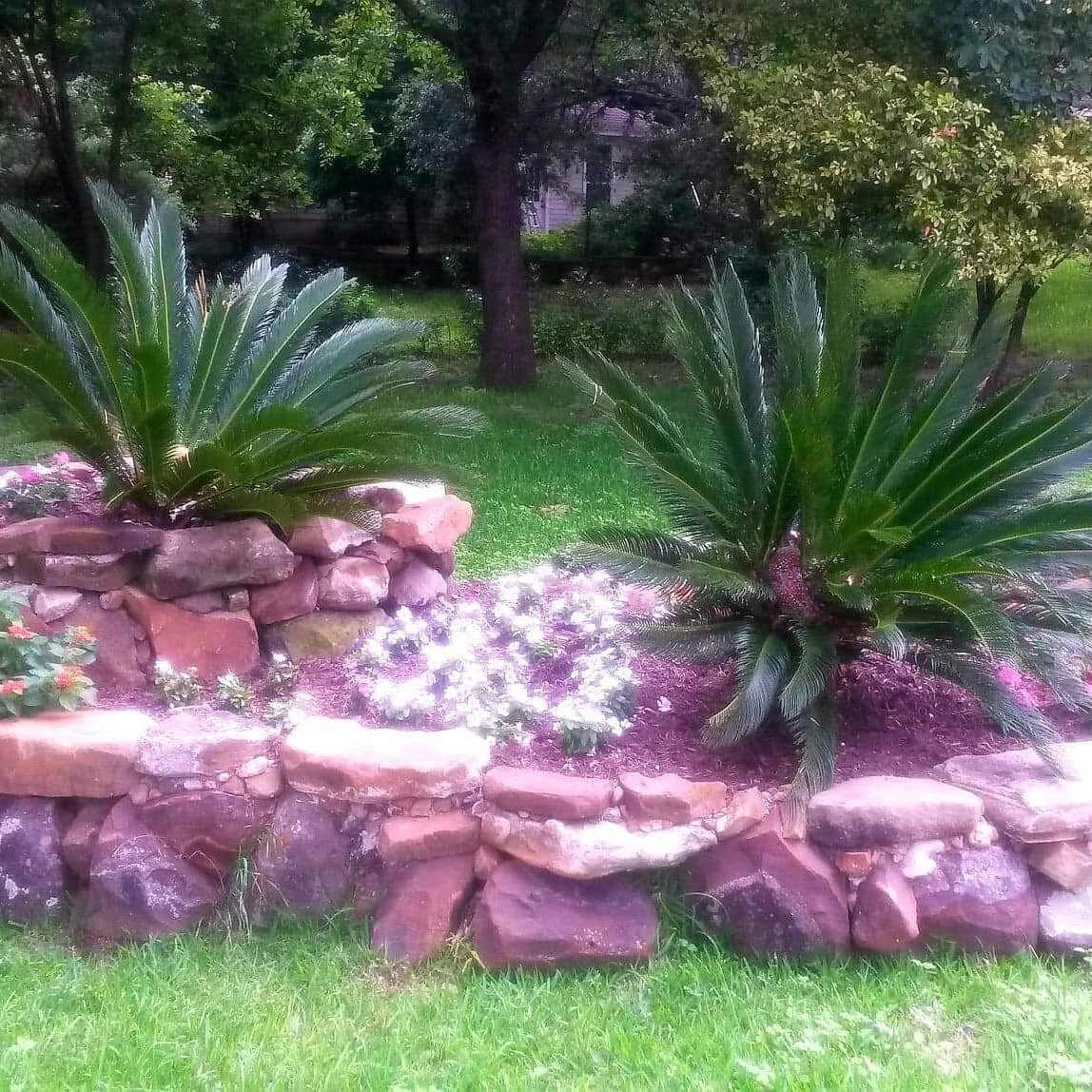 Let us create your backyard dream by starting with a gorgeous raised rock garden filled with in season flowers. We can also build raised wooden garden beds. 🌷