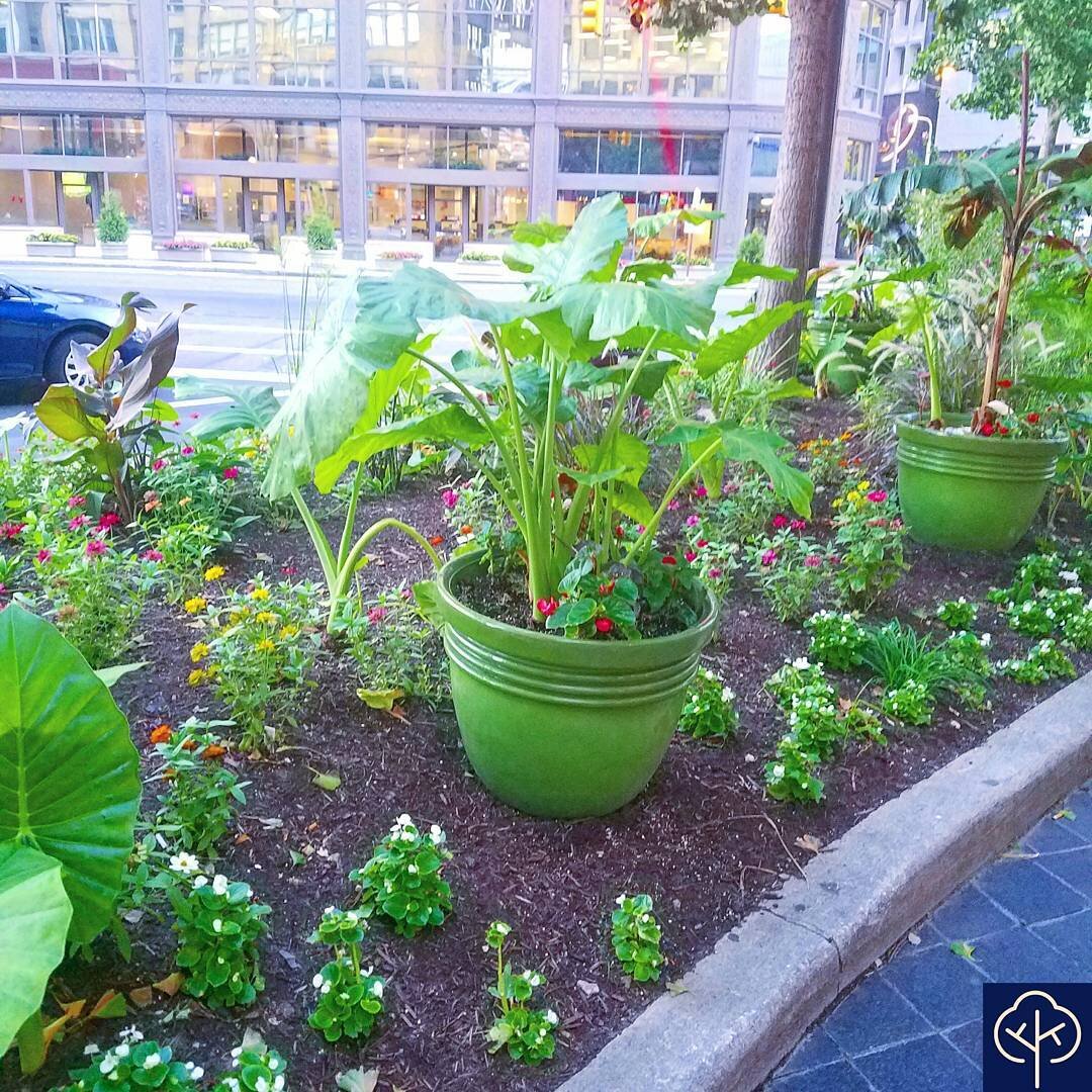 Potted plants can add a beautiful new dimension to your existing flower beds