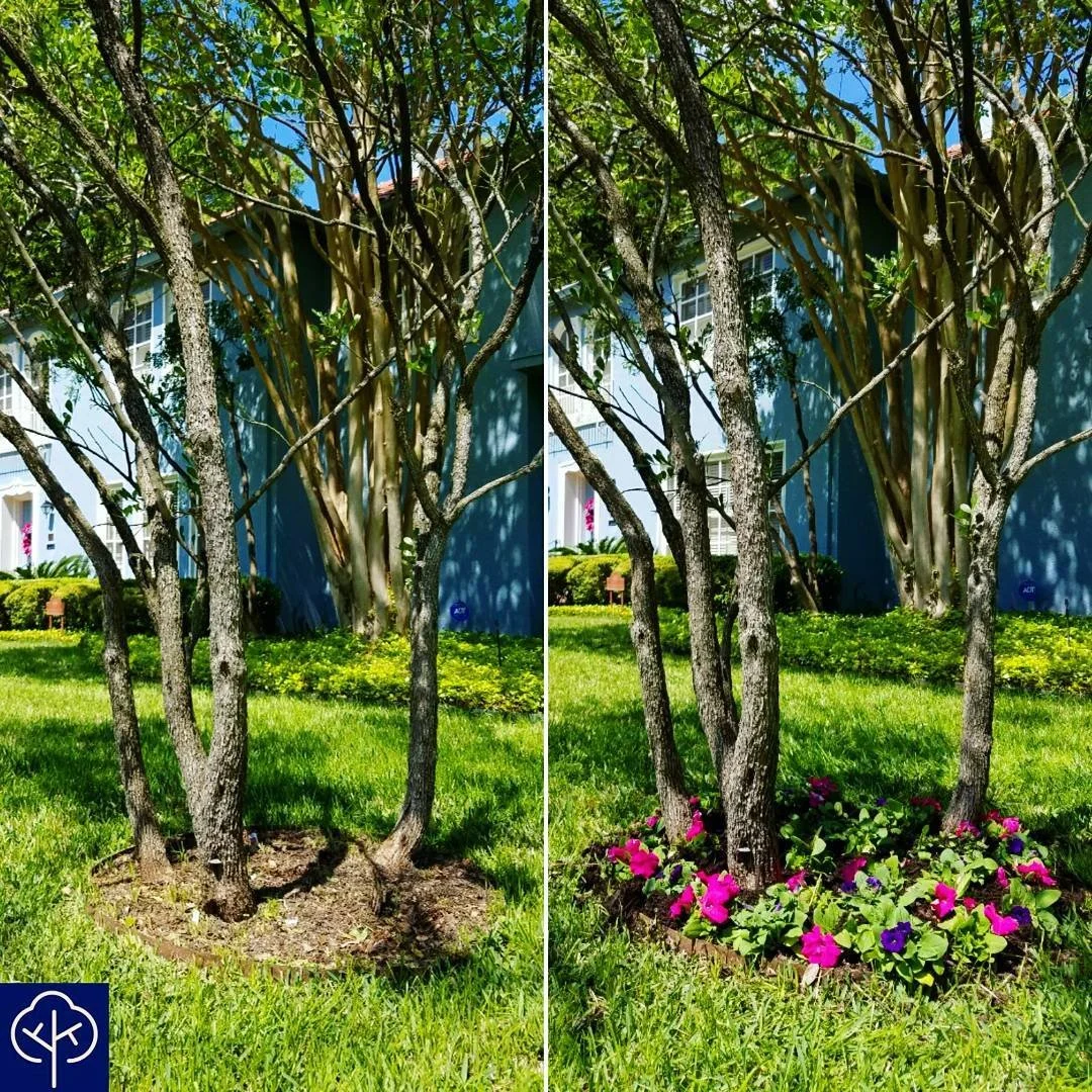 Spring is upon us, now is the time for new mulch, flowers, shrubs, and a spring clean up!