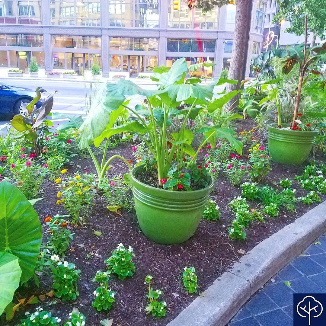 Potted plants can add a beautiful new dimension to your existing flower beds