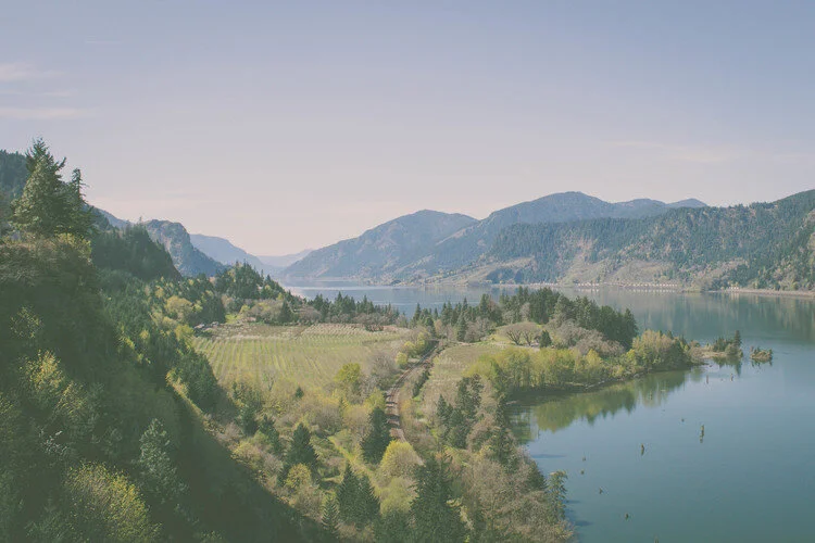 OREGON WILDFIRES: How you can help