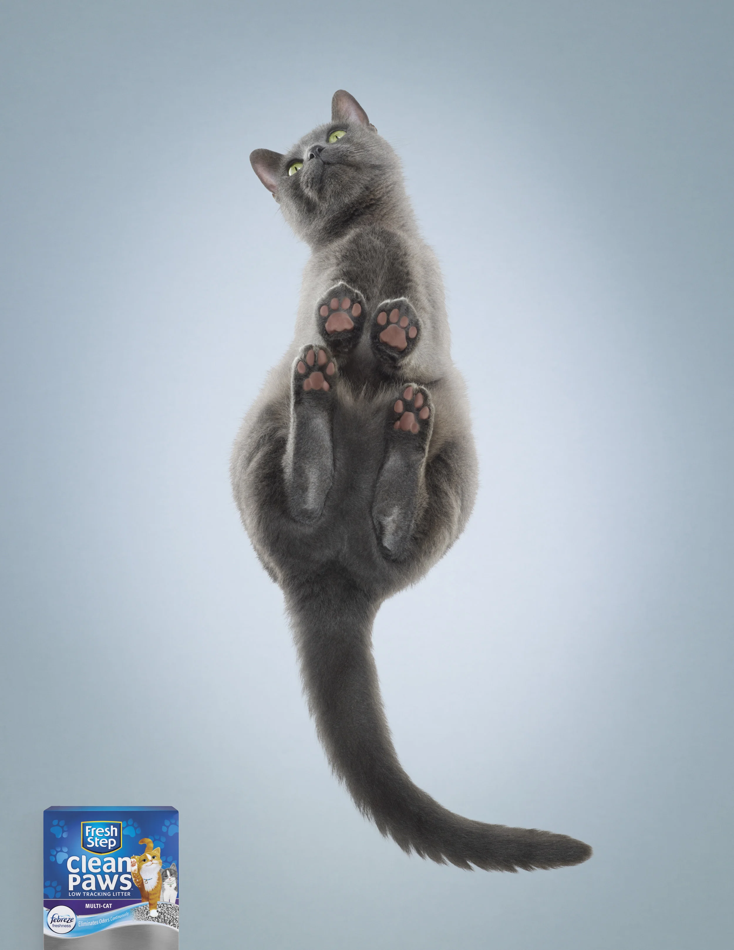 FS_CP_Print_russianBlue.jpg