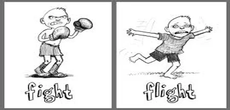 4.20 Fighter or Flighter