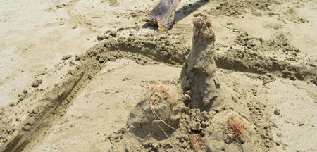 5.8 I Lost My Sense of Humour and Found it Buried in the Sand