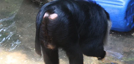 slider2-monkey.jpg