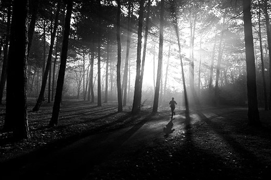 7.19 Hauntings of High Park