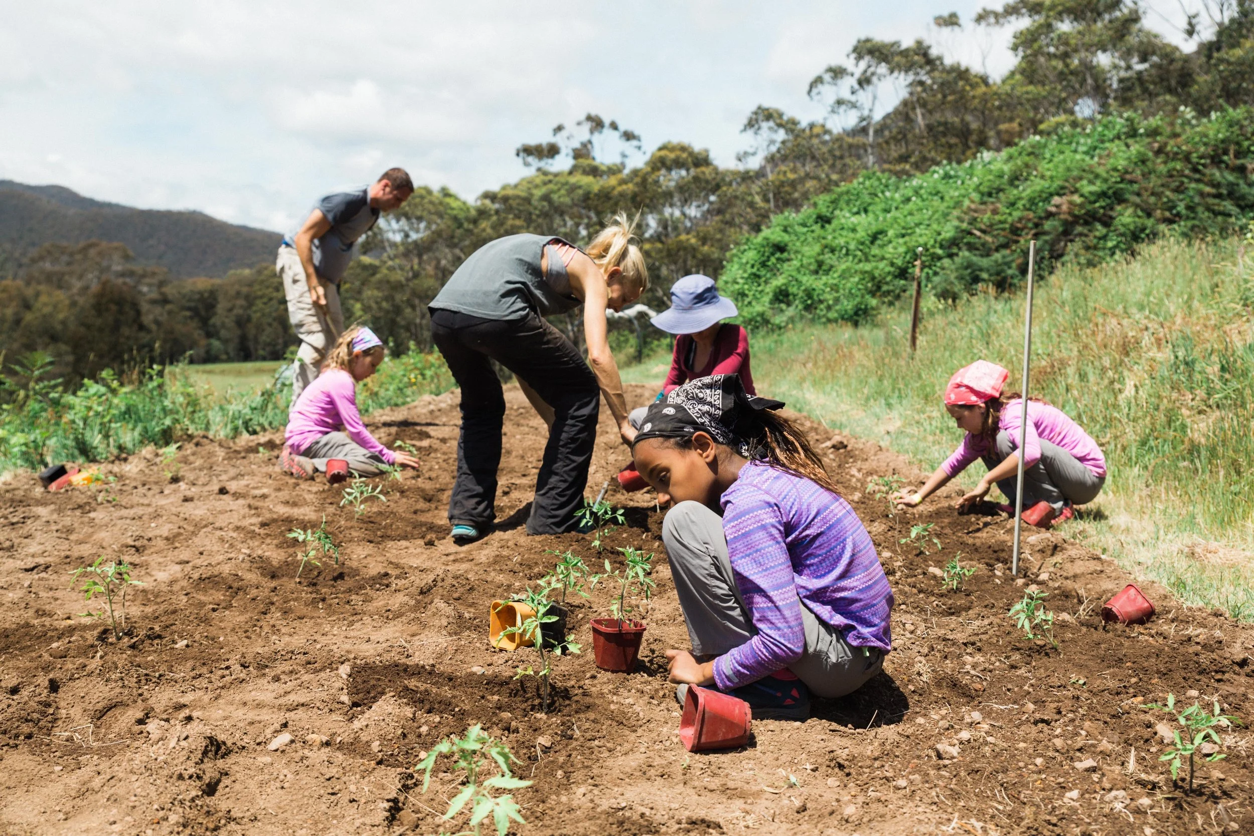 Hard at work planting just shy of 1,000 tomato and pumpkin plants at an organic, permaculture farm we spent a week living on. Our first time using the WWOOF (World Wide Opportunities on Organic Farms) program and we had a blast. We learned all natural farming techniques, how to efficiently and properly garden, bake bread and make pastries, while living with the Moritz family of Cheshunt, Victoria (Australia.) Not only do Tomas and Gabi live off their land and tend to all 600 acres themselves, they also have an artisan wood fired bread baking business out of there home. We helped make 350 loaves of bread and over 100 pastries from scratch for the weekly farmers market. I think it is safe to say, we have a new respect for organic farming!!!