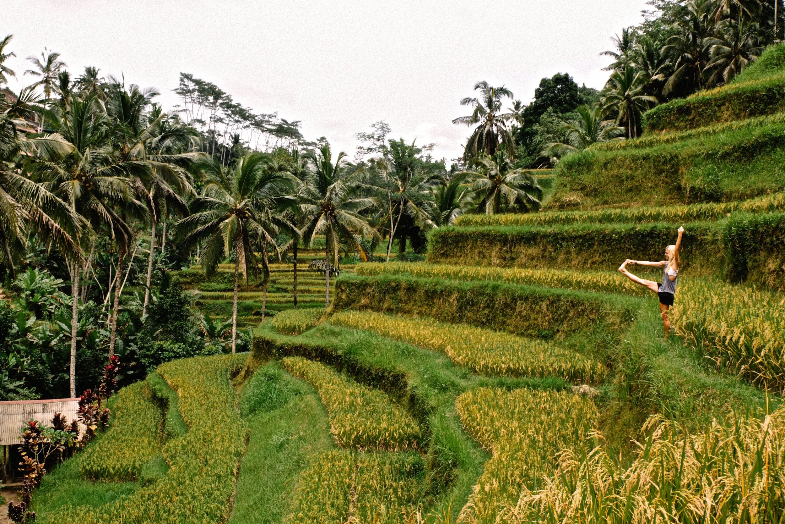 Ubud, Indonesia