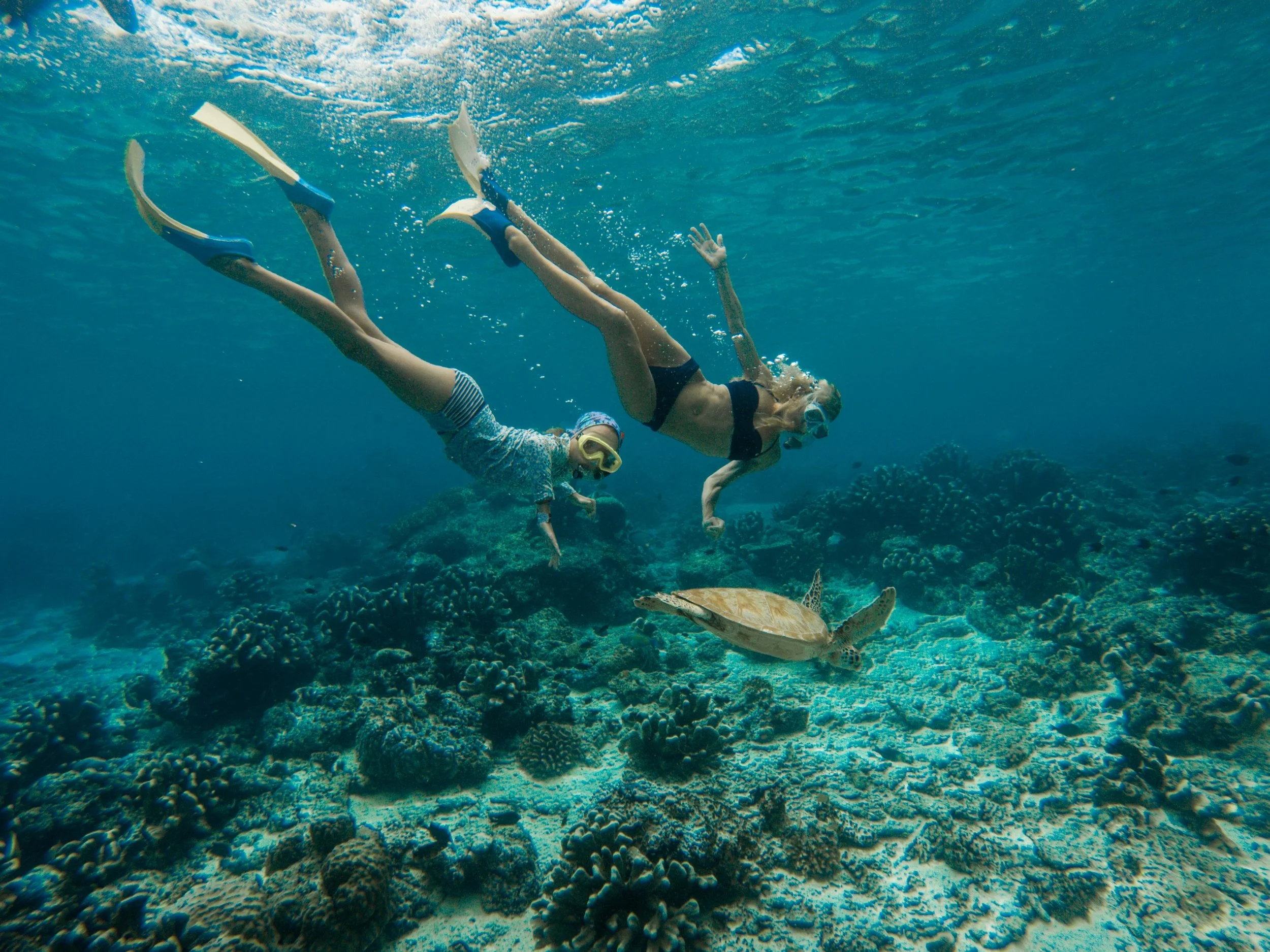 One of the things at the top of our "to-do" list when we set out on this journey was to swim alongside sea turtles. After 6 months and many tries, we finally found them in the Malaysian Islands off the coast of Semporna. Mataking Island and Sipidan Island proved to be the perfect spot to swim side by side with hundreds of green sea turtles and horn billed turtles as well. Mom and Taylor took an extra close look here at these graceful and peaceful turtles which can live up to 80-100 years old. 