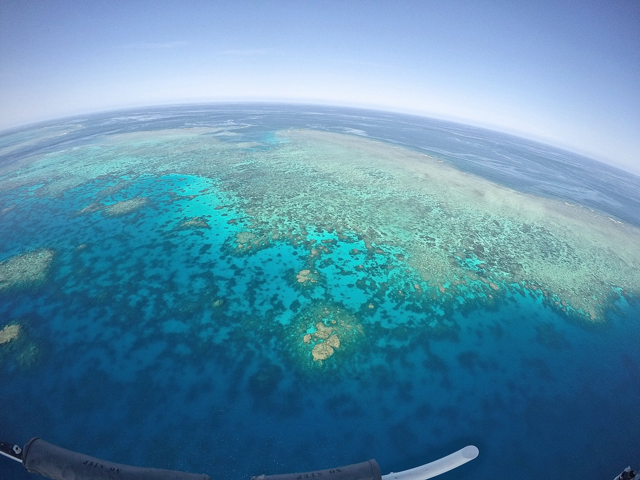Aerial view from our helicopter ride over the Great Barrier Reef in Cairns, Australia. This amazing 45 minute ride allowed us to view sea turtles, sharks, and the most beautiful blue colors imaginable. This will surely go down as one of the highlights of our trip, and a memory that will last forever. 