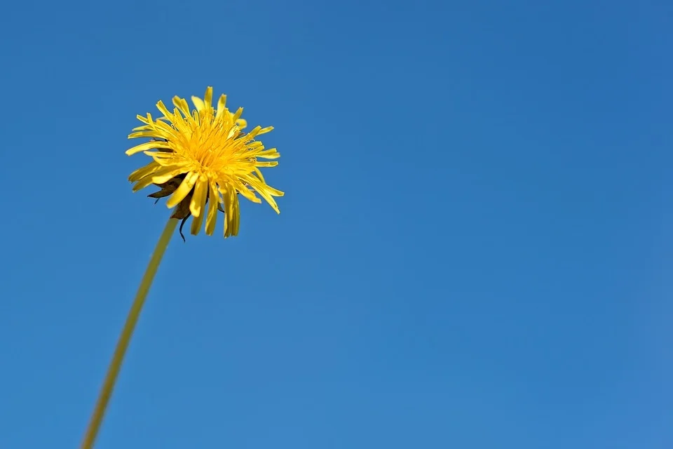 Revisiting Gratitude