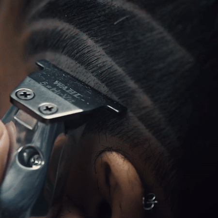 wahl3-ezgif.com-resize.gif