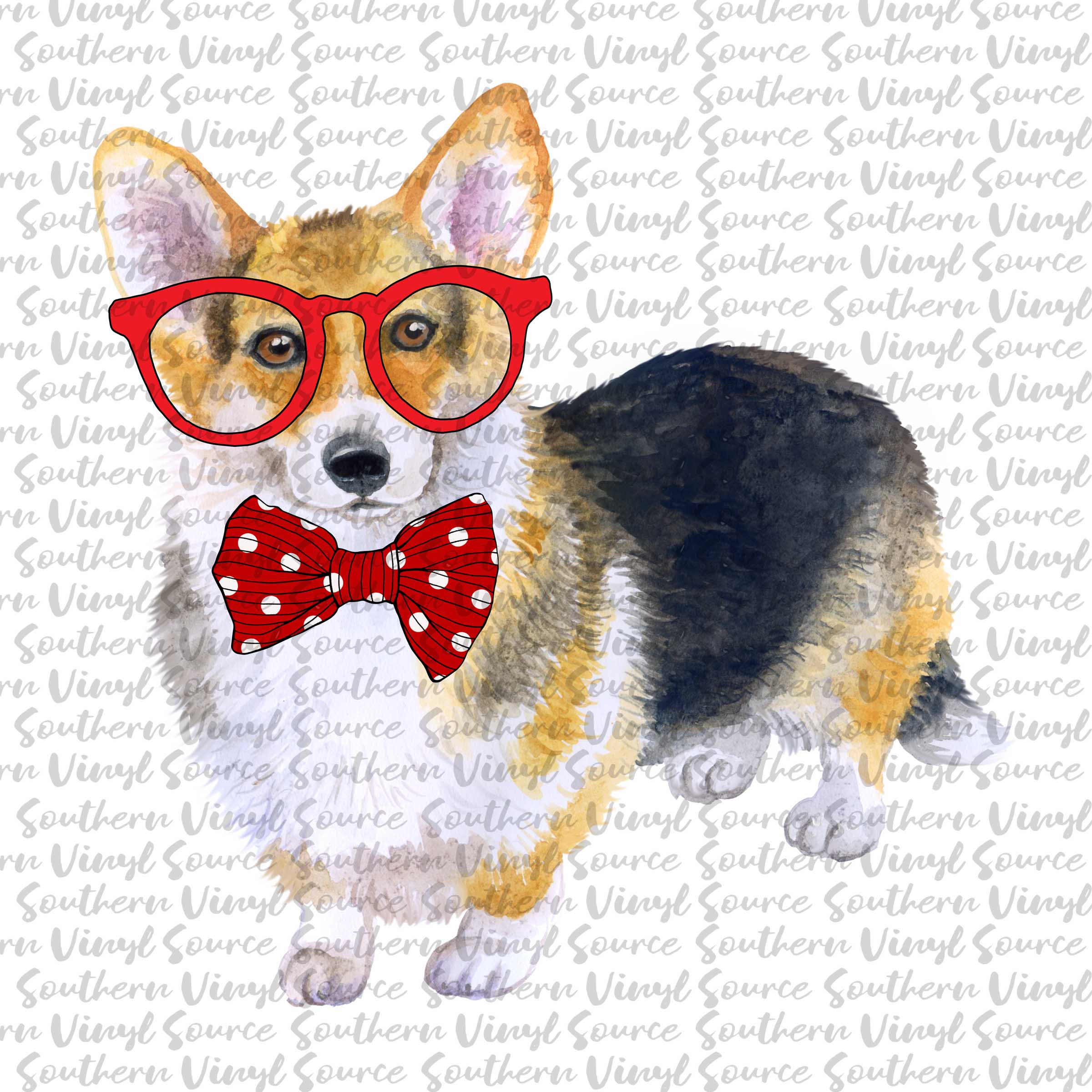 corg.jpg