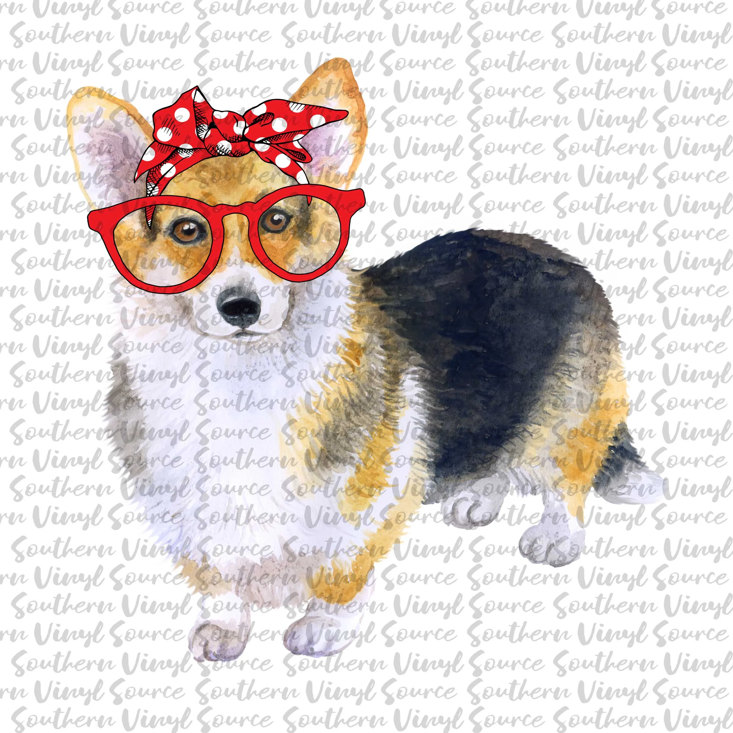 corgo.jpg