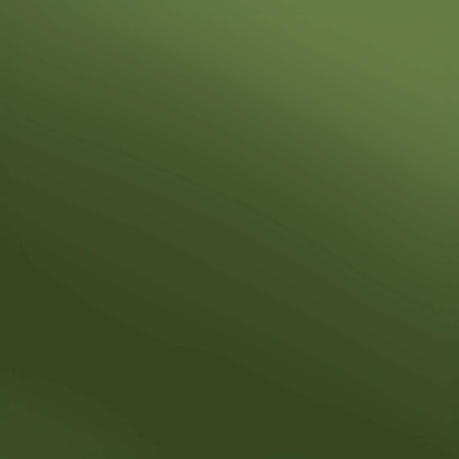 EWE-Olive.jpg