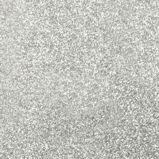 Silver.jpg