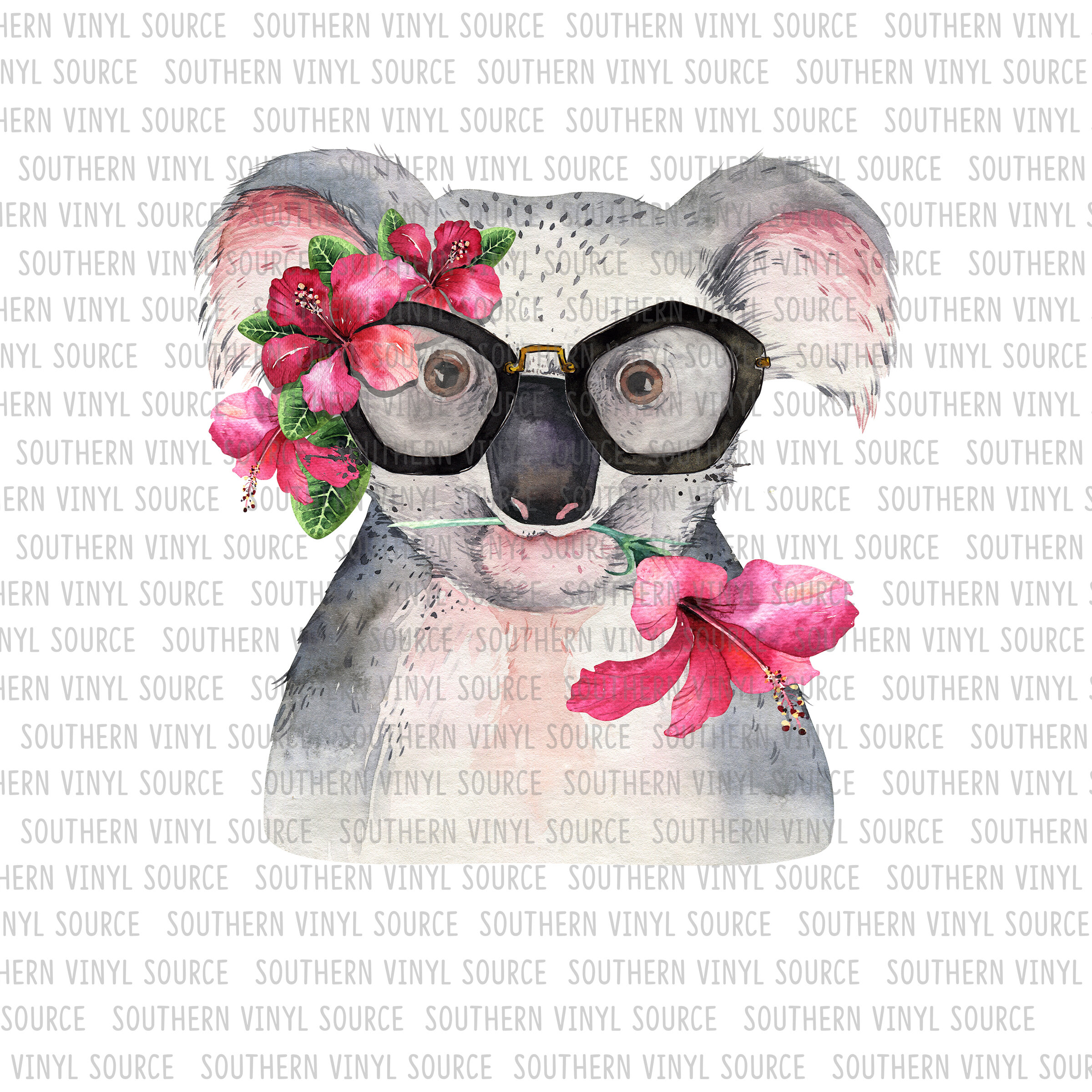 AN02 Koala Bear with Glasses Sublimation Print — Southern Vinyl Source